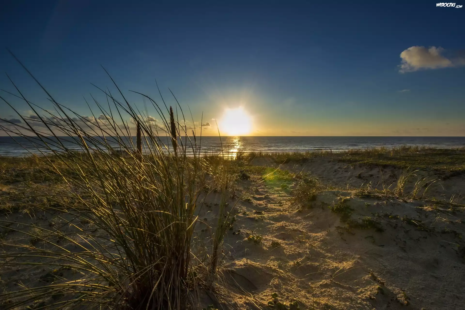 Plaża, Trawy, Wschód słońca, Morze