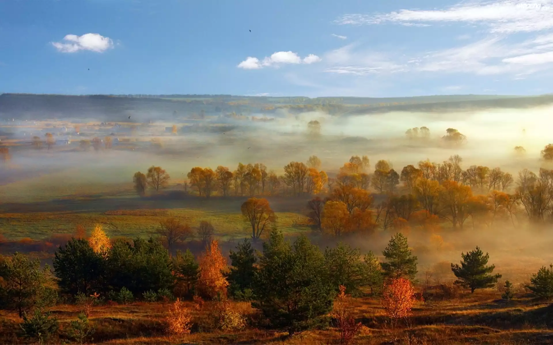Pola, Drzewa, Mgła, Panorama, Jesień