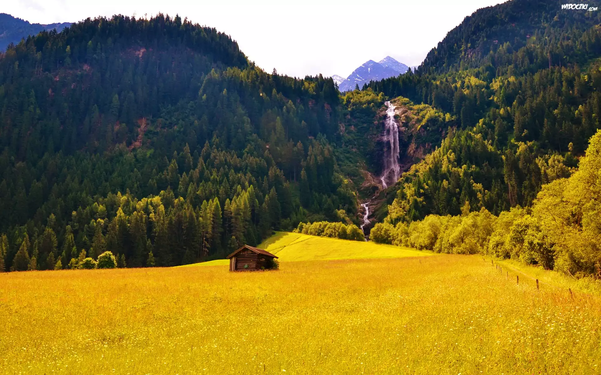 Pola, Góry, Wodospad, Domek