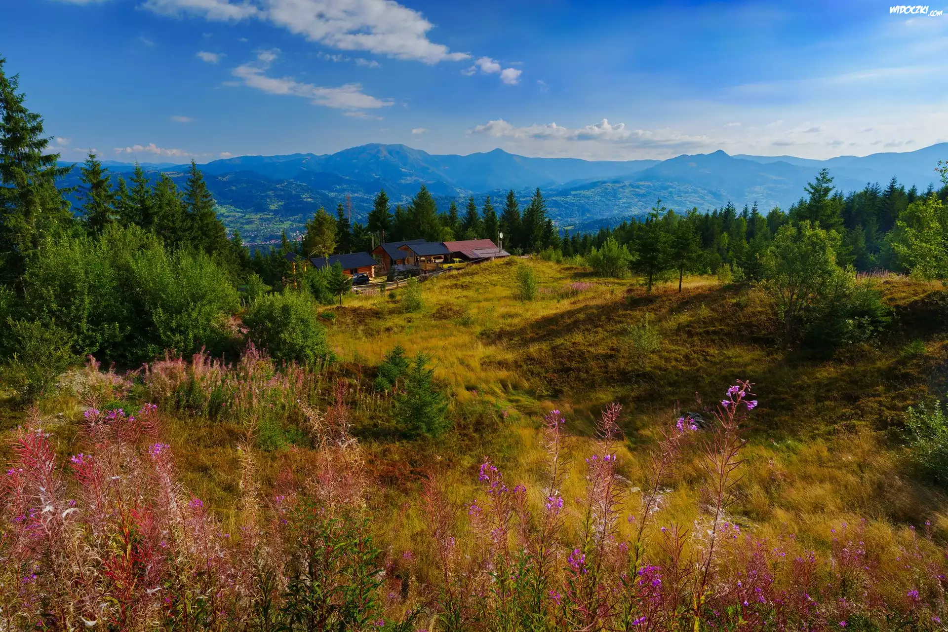 Rumunia, Góry, Karpaty, Polana, Drzewa, Domy, Lato