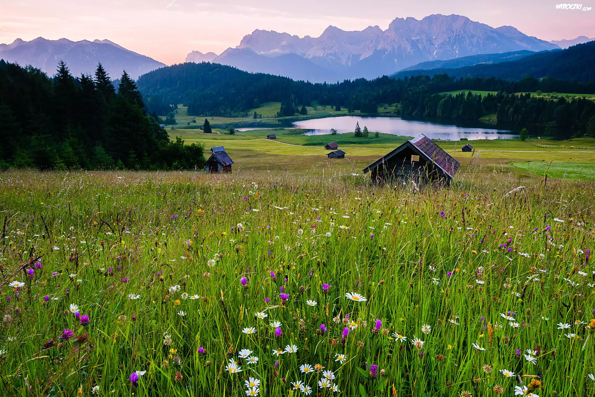Polana, Łąka, Kwiaty, Szopy, Domki, Jezioro Geroldsee, Drzewa, Lasy, Góry, Alpy, Bawaria, Niemcy