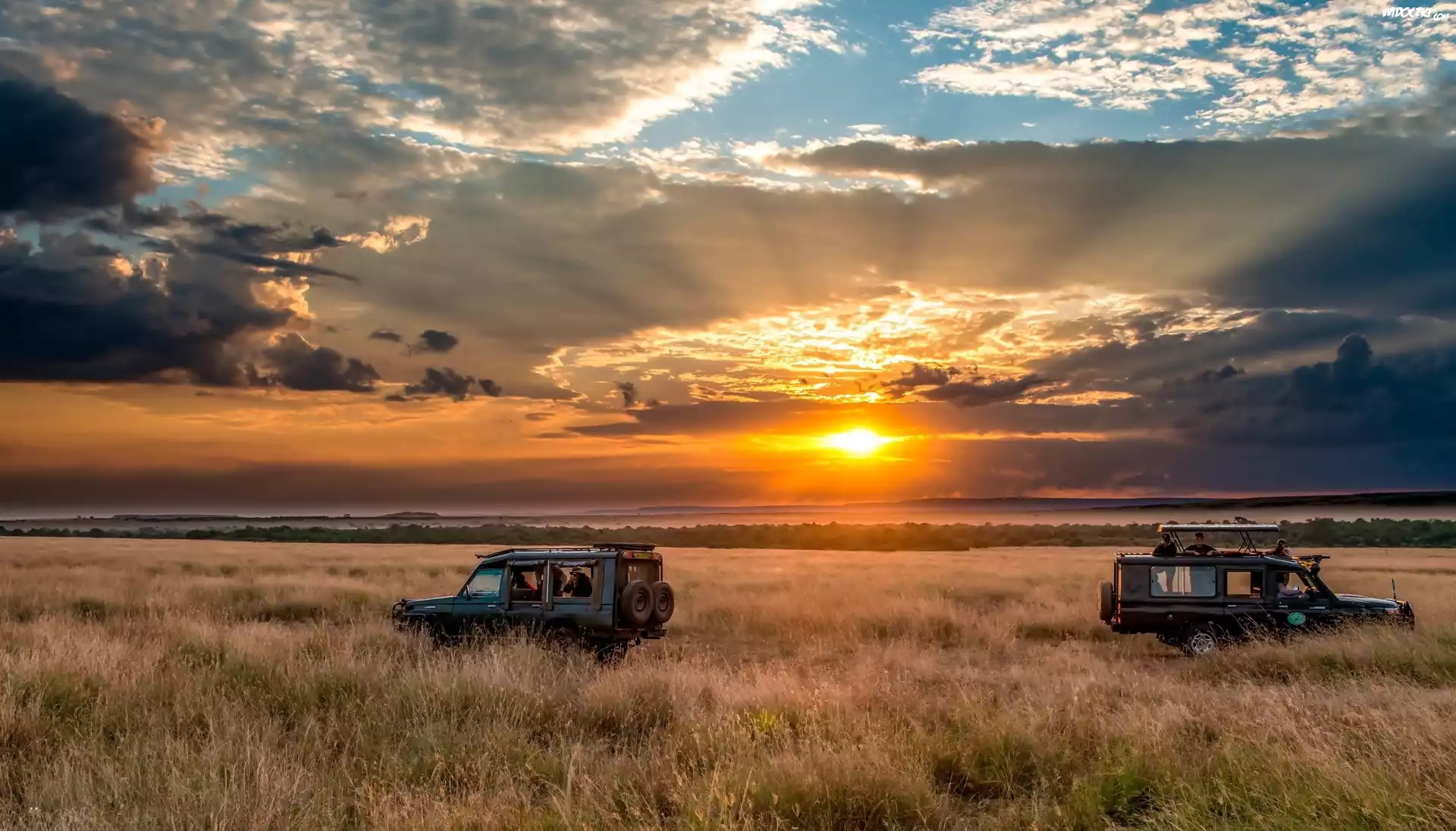 Pole, Afryka, Safari, Zachód słońca, Samochody