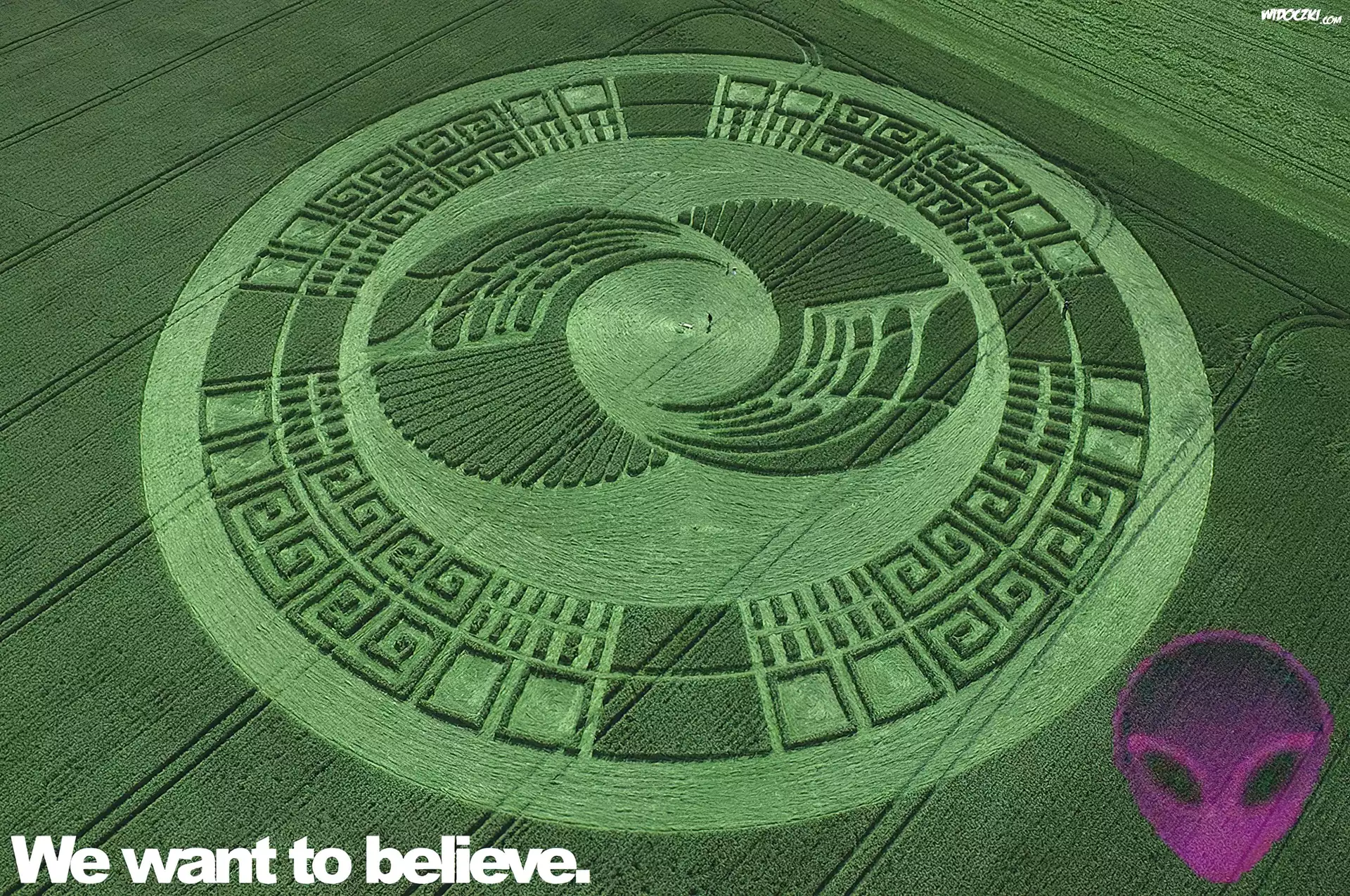 Znaki, Pole, UFO