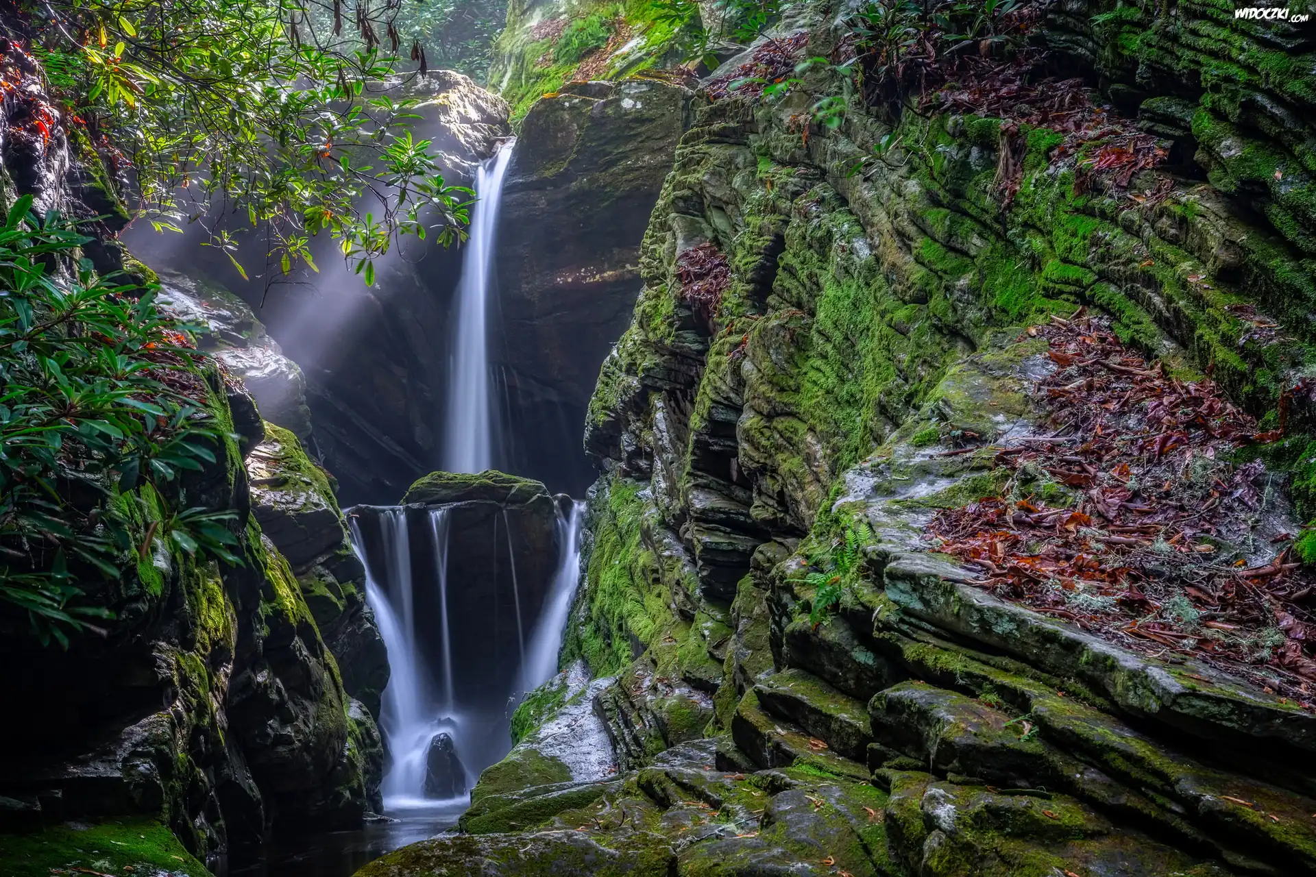 Stany Zjednoczone, Stan Karolina Północna, Wodospad Duggers Creek Falls, Skały, Las, Gałęzie, Przebijające światło