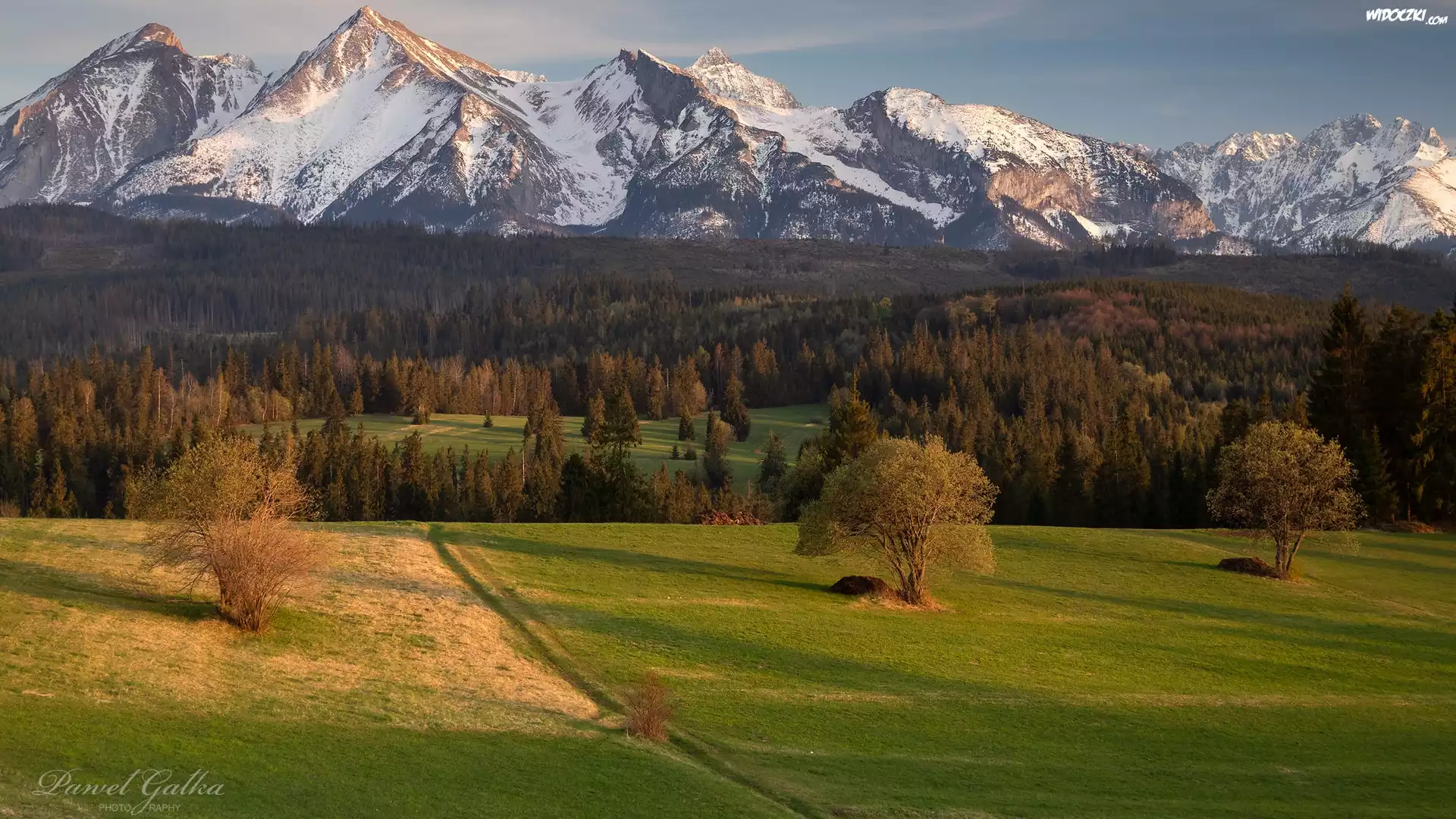 Góry, Ośnieżone, Tatry, Wieś Łapszanka, Drzewa, Łąka, Powiat nowotarski, Polska