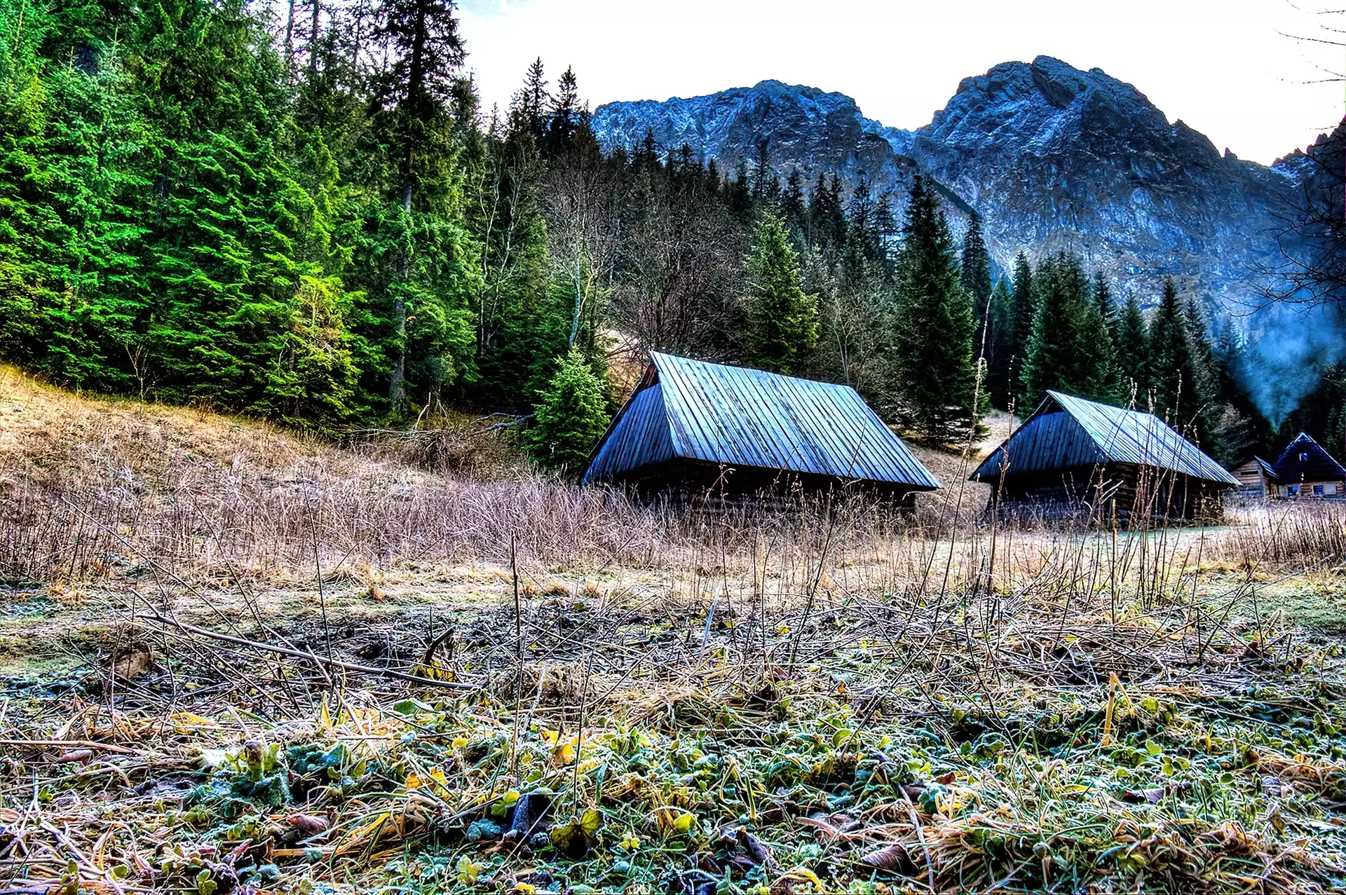 Polska, Tatry, Góry, Domki, Domy, Las