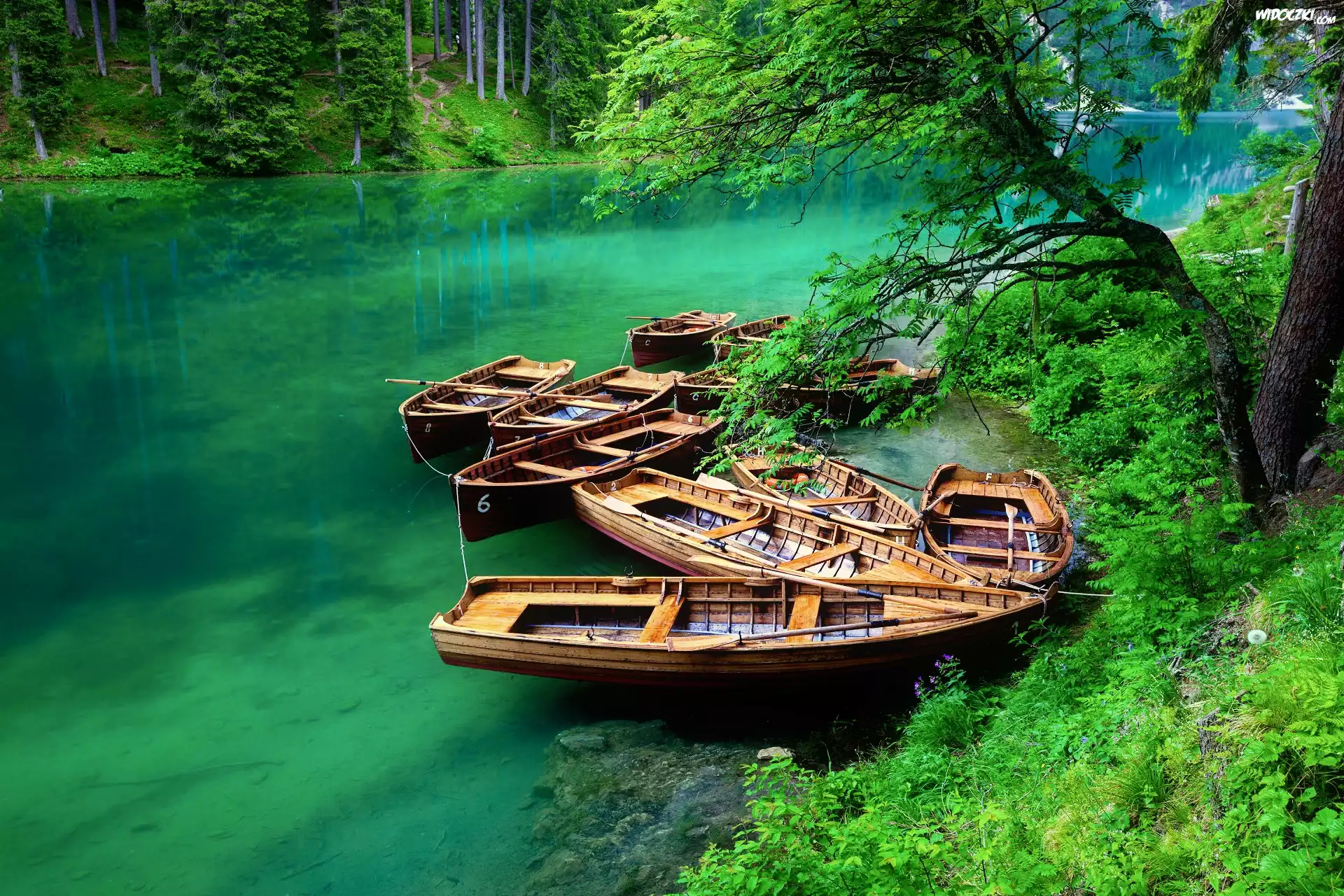 Włochy, Południowy Tyrol, Jezioro Pragser Wildsee, Łódki, Las