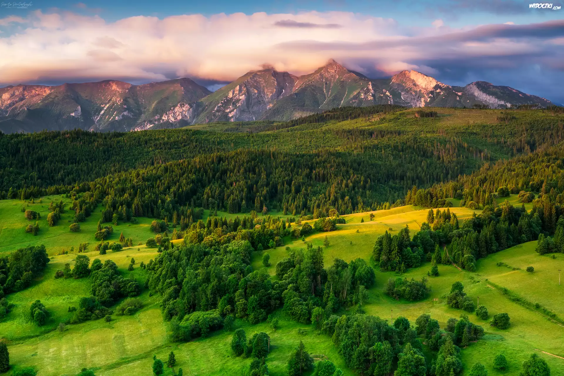 Słowacja, Góry, Tatry, Wzgórze, Lasy, Łąki, Chmury, Poranek