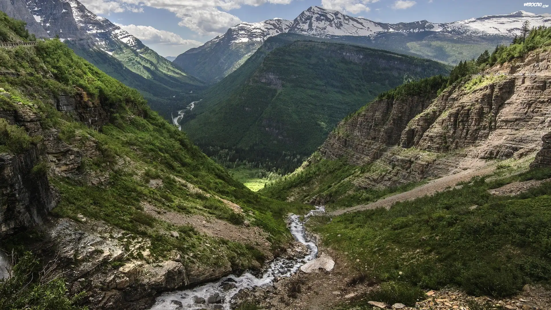 Porośnięte, Wzgórza, Góry Skaliste, Przełęcz Logan Pass, Skały, Strumyk, Kamienie, Park Narodowy Glacier, Stan Montana, Stany Zjednoczone