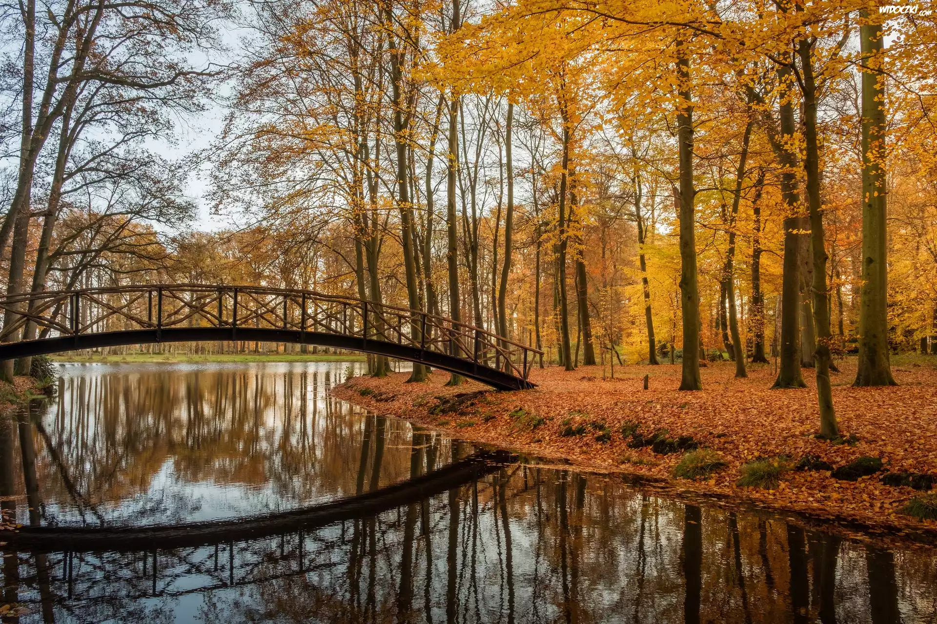 Holandia, Prowincja Geldria, Gmina Brummen, Posiadłość Huis Voorstonden, Park, Staw, Jesień, Mostek