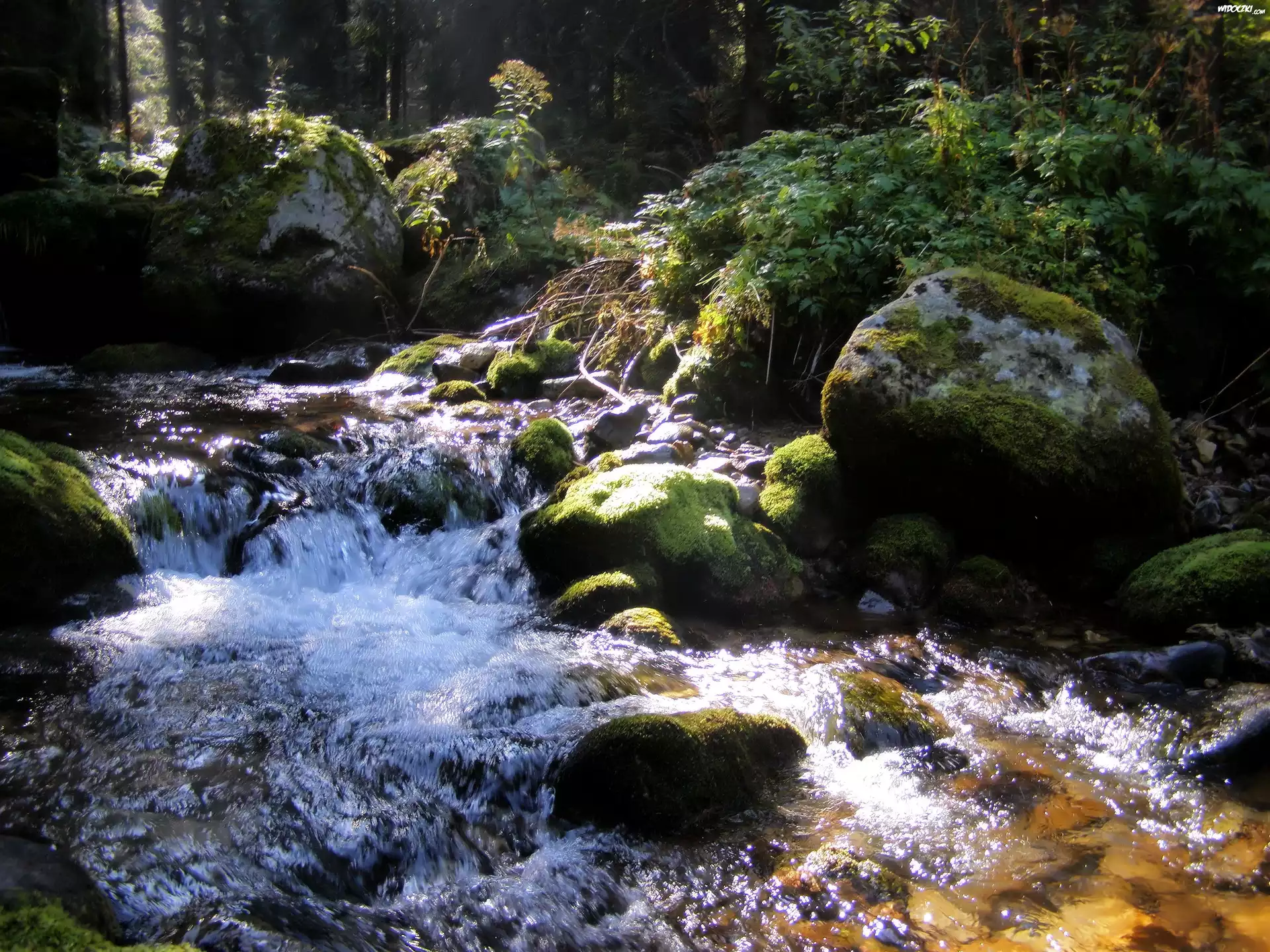 potok-tatry