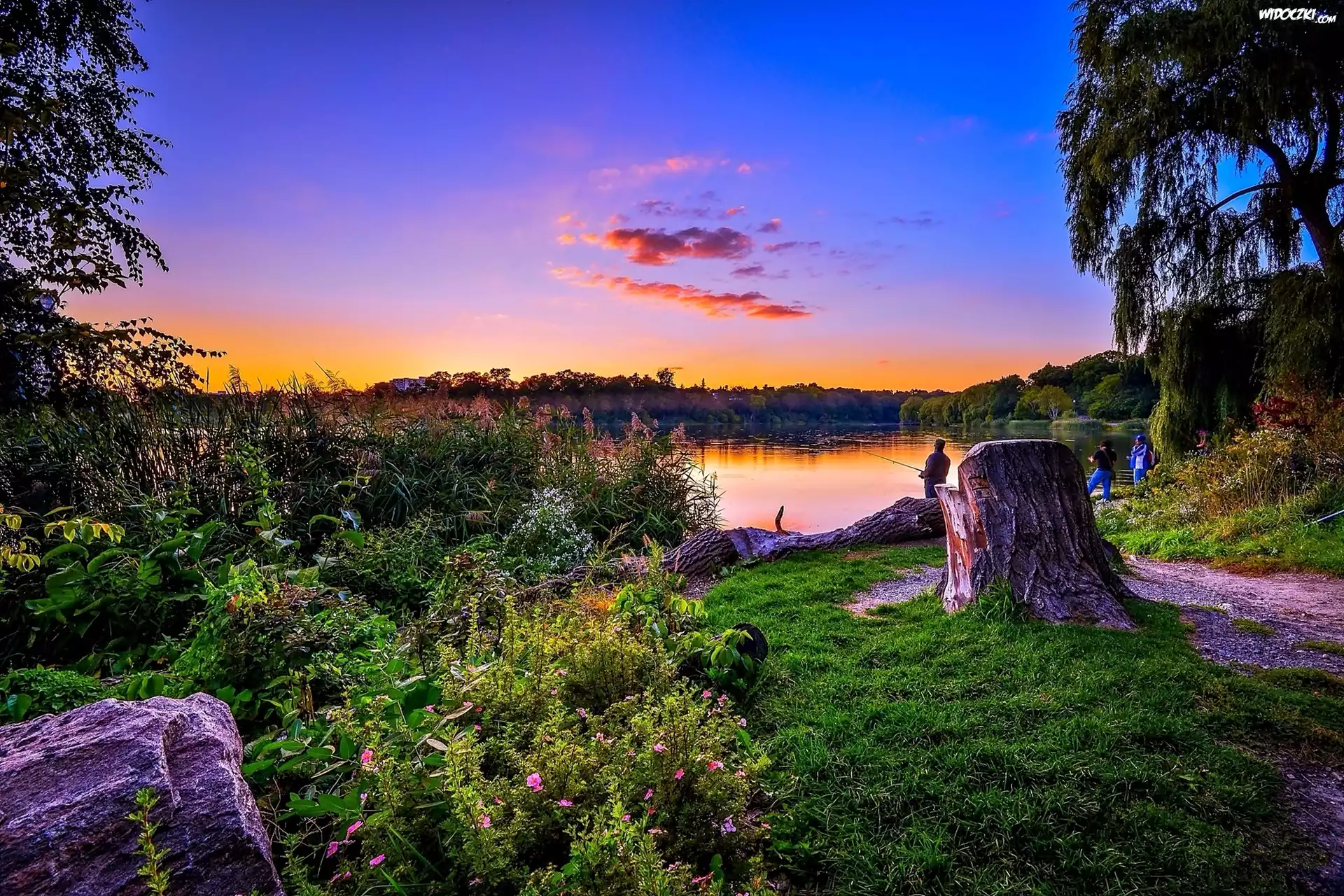 Jezioro, Przyroda, Wędkarze