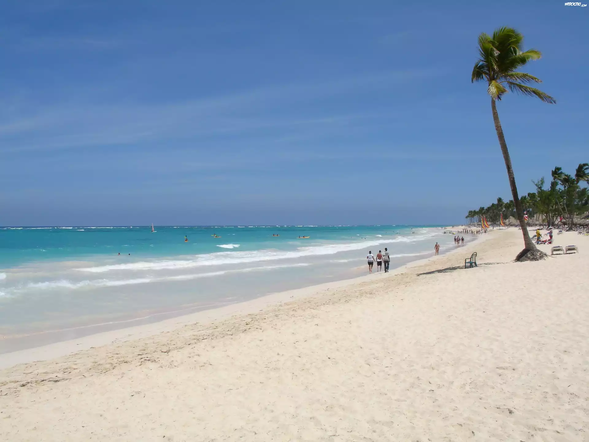 Punta Cana, Dominikana, Piasek, Woda, Palma