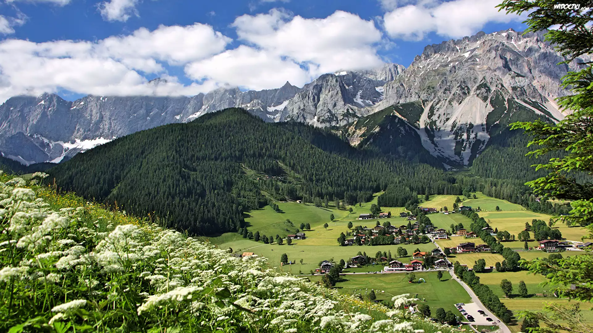 Austria, Gmina Ramsau am Dachstein, Góry Alpy Salzburskie, Domy, Dolina, Roślinność