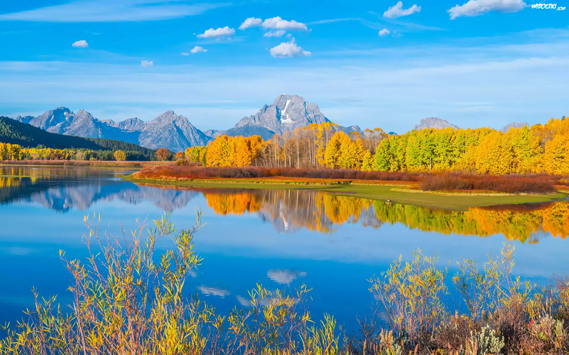 Stany Zjednoczone, Stan Wyoming, Góry, Teton Range, Rzeka Snake River, Park Narodowy Grand Teton, Drzewa, Odbicie