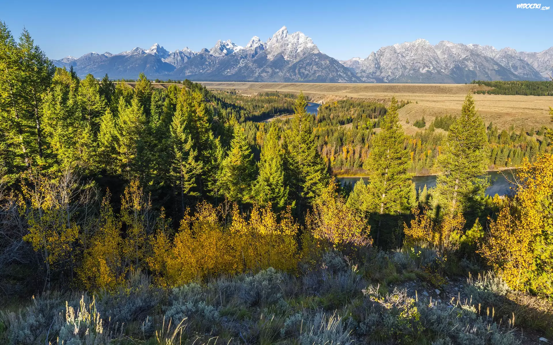 Park Narodowy Grand Teton, Góry, Teton Range, Las, Drzewa, Rzeka Snake River, Stan Wyoming, Stany Zjednoczone