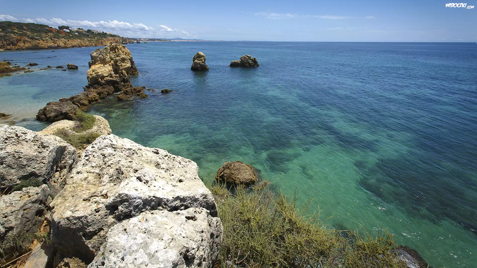 Portugalia, Region Algarve, Wybrzeże, Morze, Skały, Roślinność