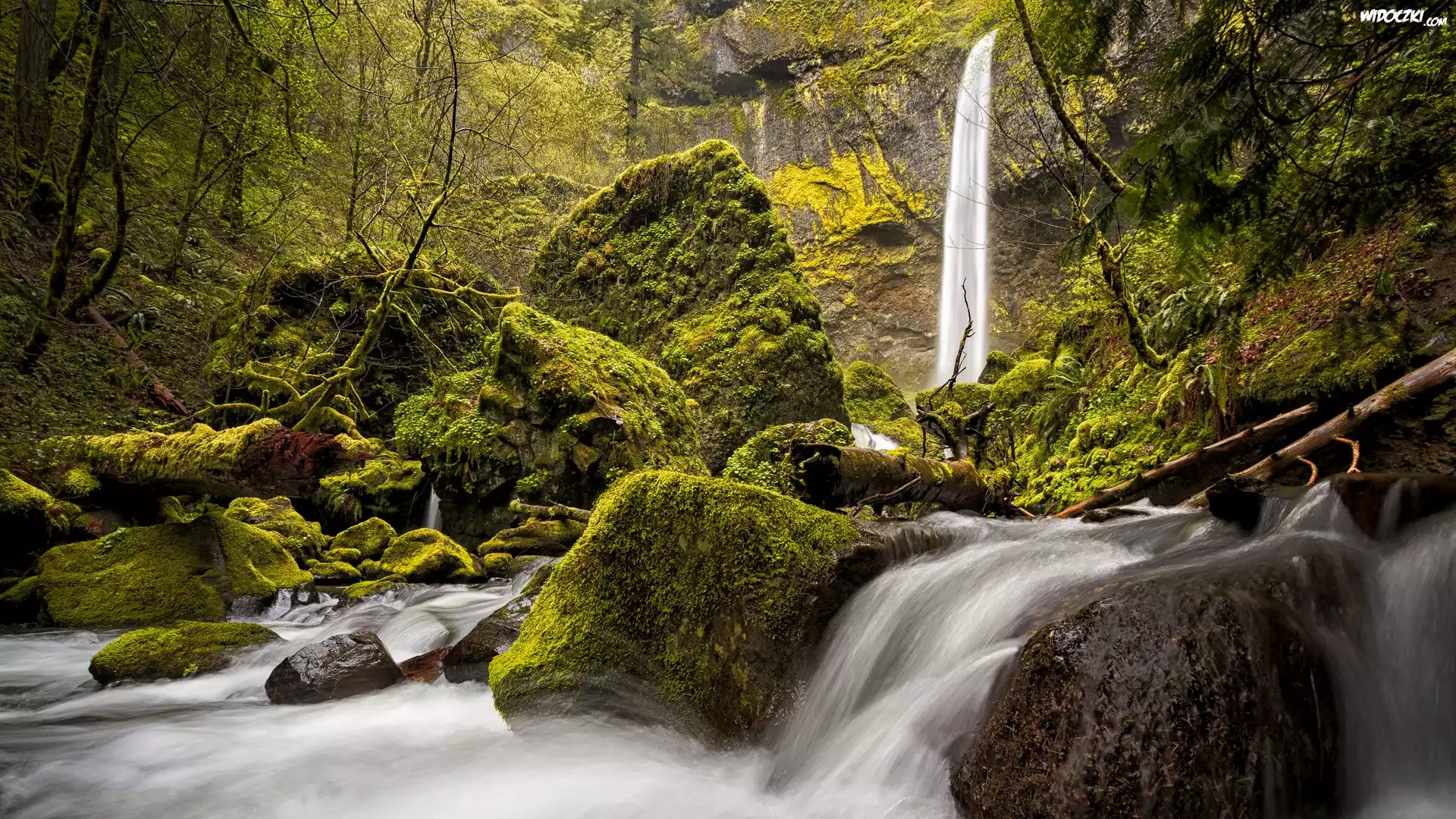 Wodospad, Elowah Falls, Rzeka, McCord Creek, Rezerwat Columbia River Gorge, Omszone, Kamienie, Głazy, Oregon, Stany Zjednoczone