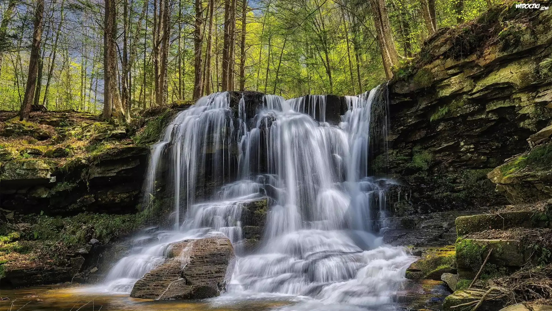 Park stanowy Ricketts Glen, Drzewa, Skały, Wodospad, Stan Pensylwania, Stany Zjednoczone