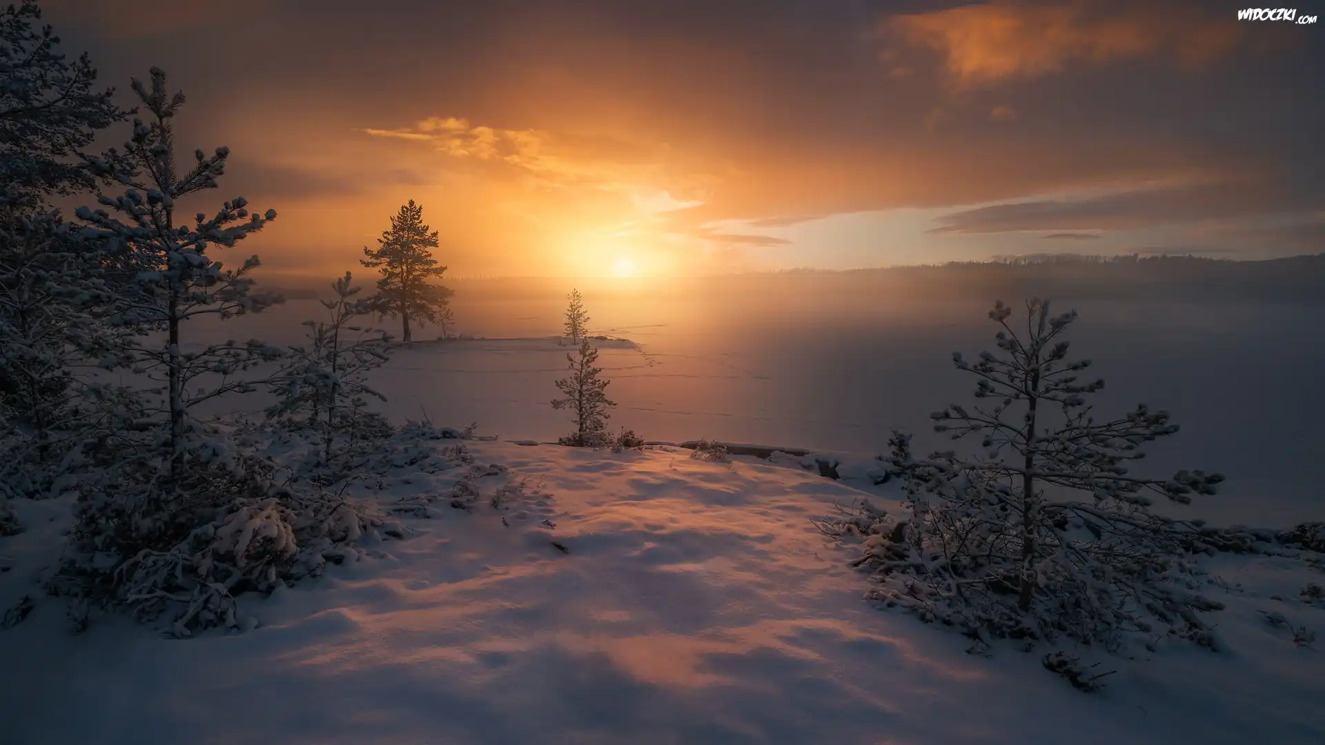 Norwegia, Ringerike, Zima, Zachód słońca, Śnieg, Drzewa, Jezioro