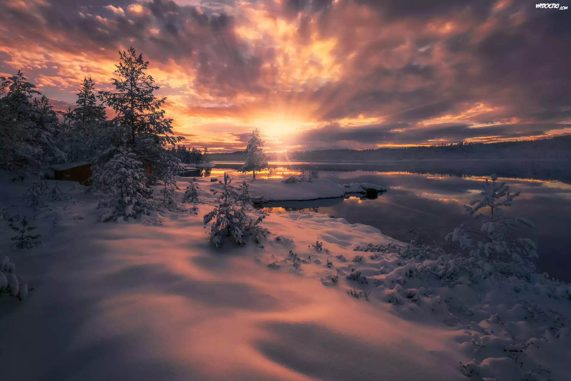 Norwegia, Ringerike, Zima, Jezioro, Drzewa, Zachód słońca
