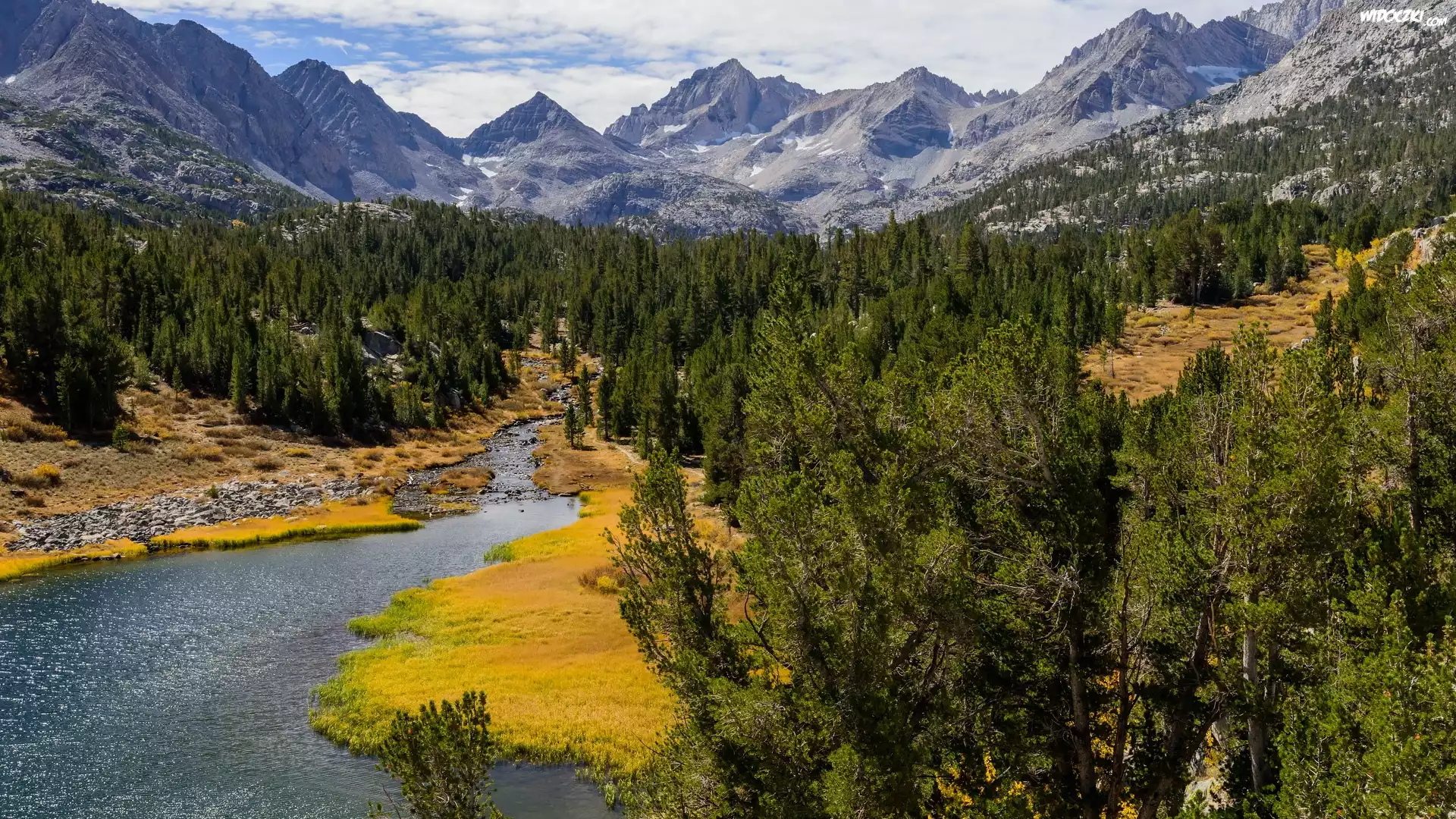 Góry, Sierra Nevada, Rzeka, Rock Creek, Drzewa, Lasy, Eastern Sierra, Stan Kalifornia, Stany Zjednoczone