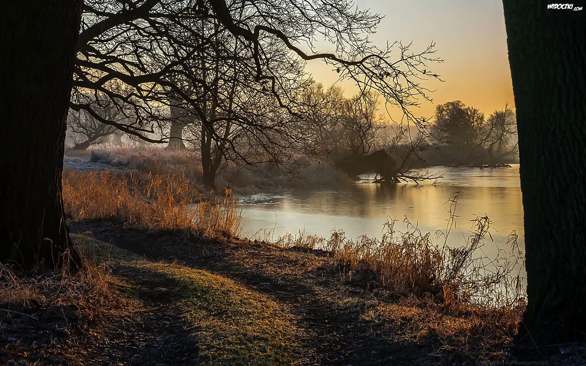 Rogaliński Park Krajobrazowy, Wschód słońca