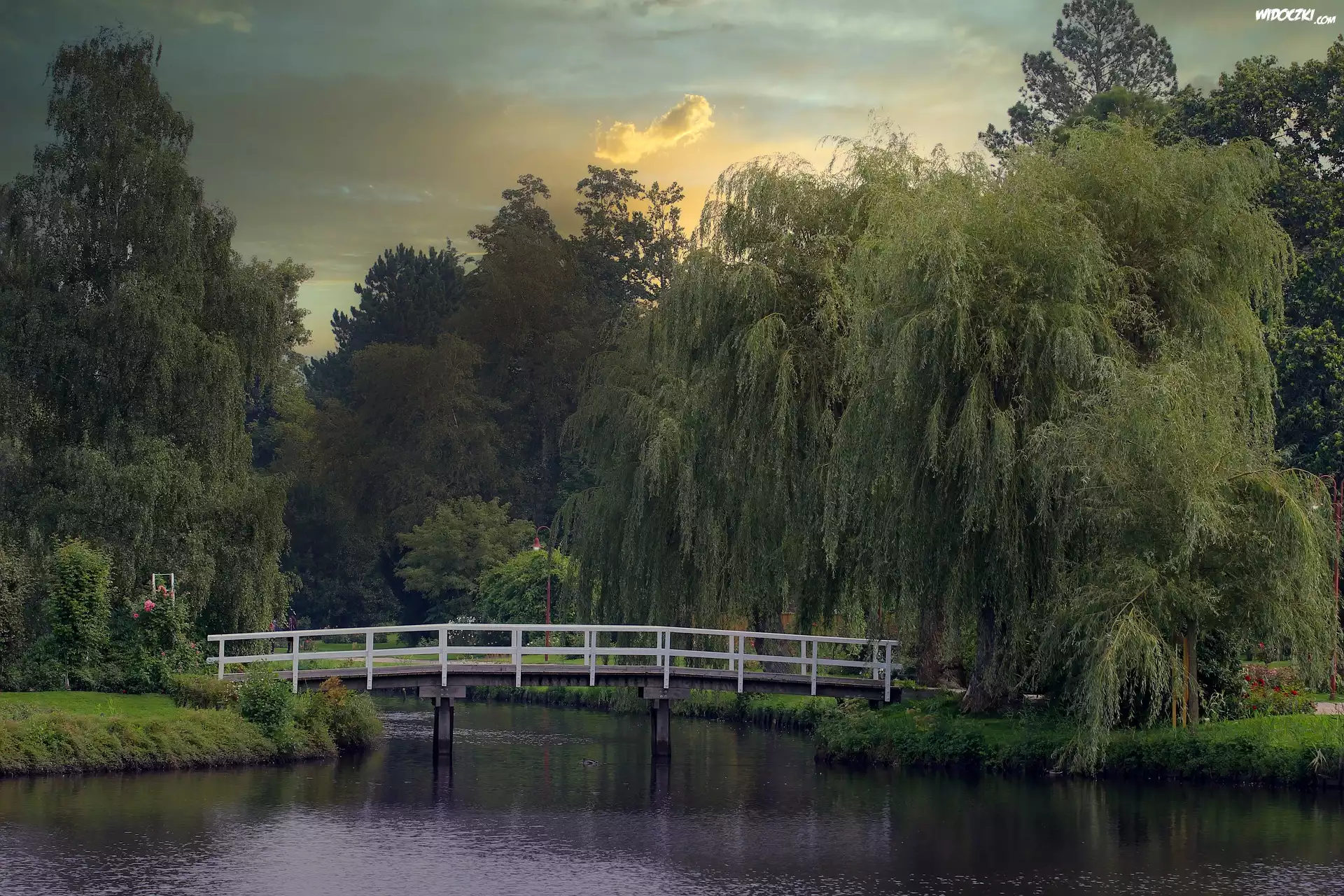 Rosarium Uetersen, Ogród różany, Staw, Mostek, Drzewa, Wierzby płaczące, Uetersen, Szlezwik-Holsztyn, Niemcy