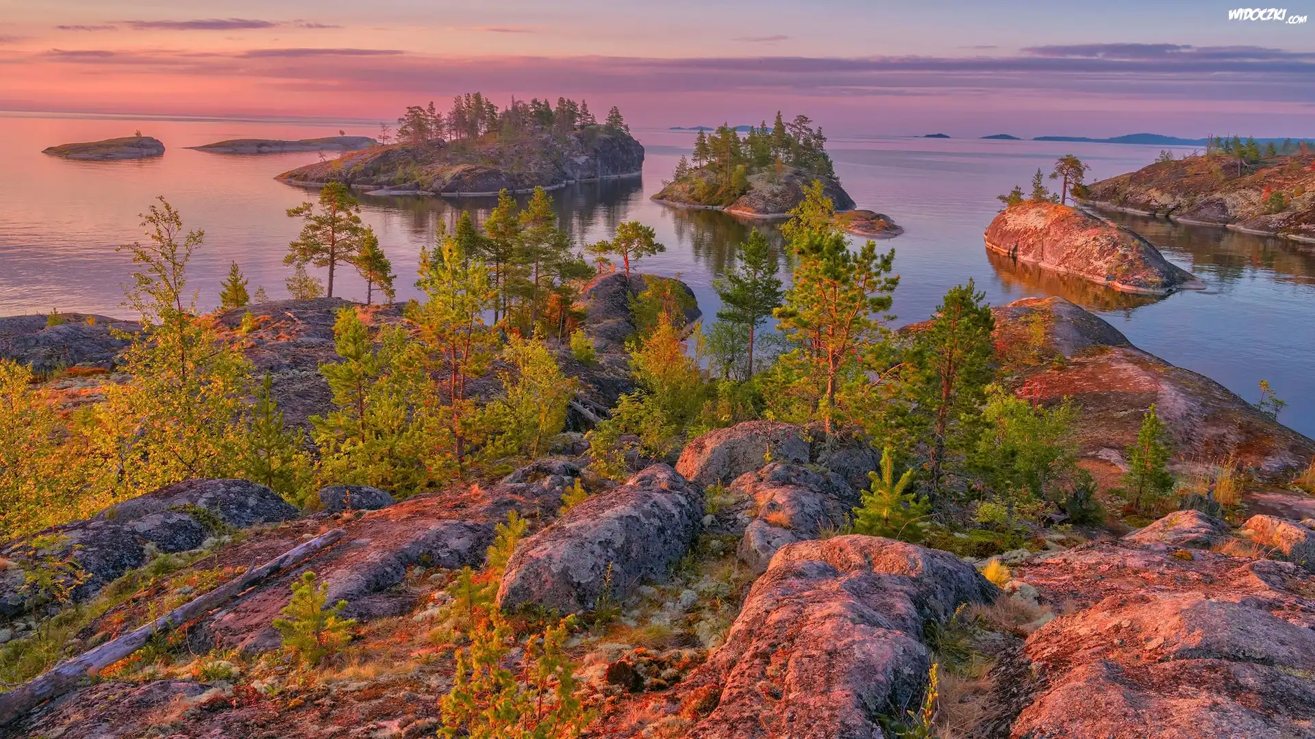 Rosja, Jezioro Ładoga, Wysepki, Skały, Drzewa, Roślinność, Karelia, Rosja