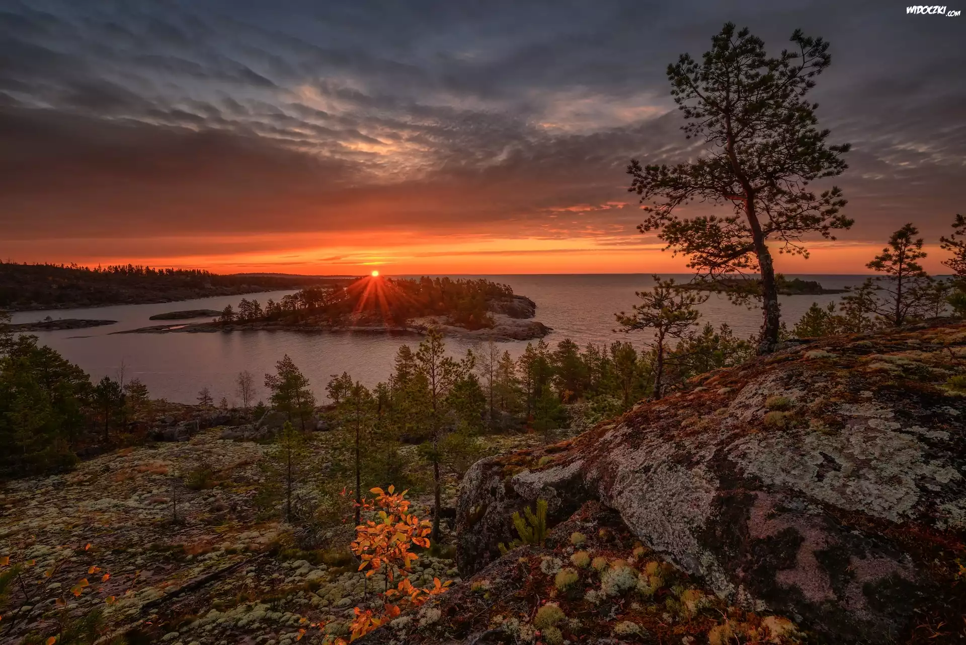 Rosja, Karelia, Jezioro, Ładoga, Skały, Drzewa, Niebo, Zachód słońca