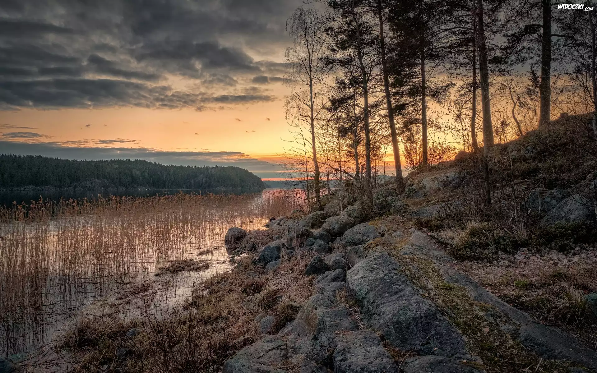 Zachód słońca, Jezioro Ładoga, Skały, Drzewa, Chmury, Szuwary, Karelia, Rosja