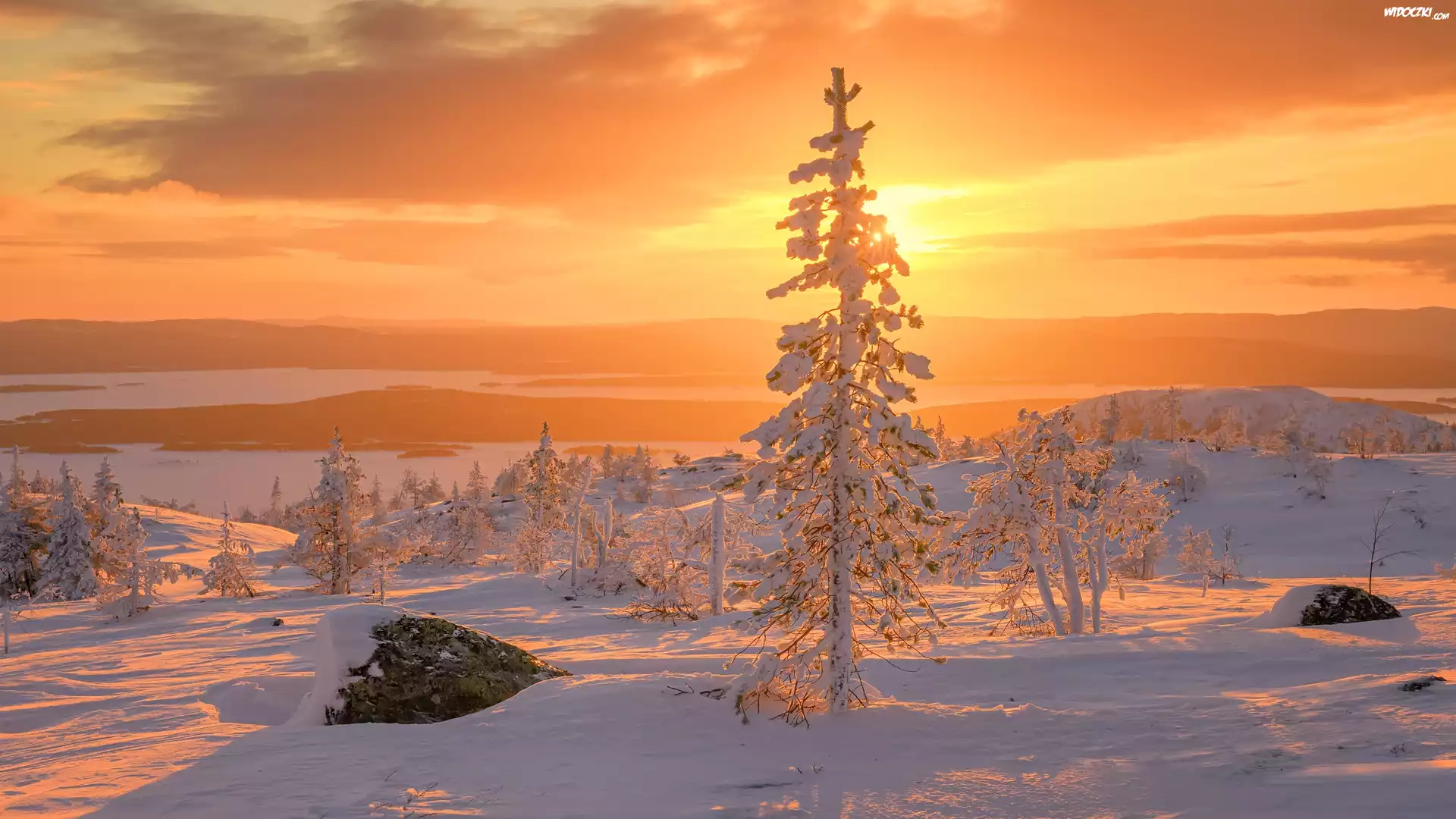 Rosja, Półwysep Kolski, Zima, Ośnieżone, Drzewa, Zachód słońca, Kamienie