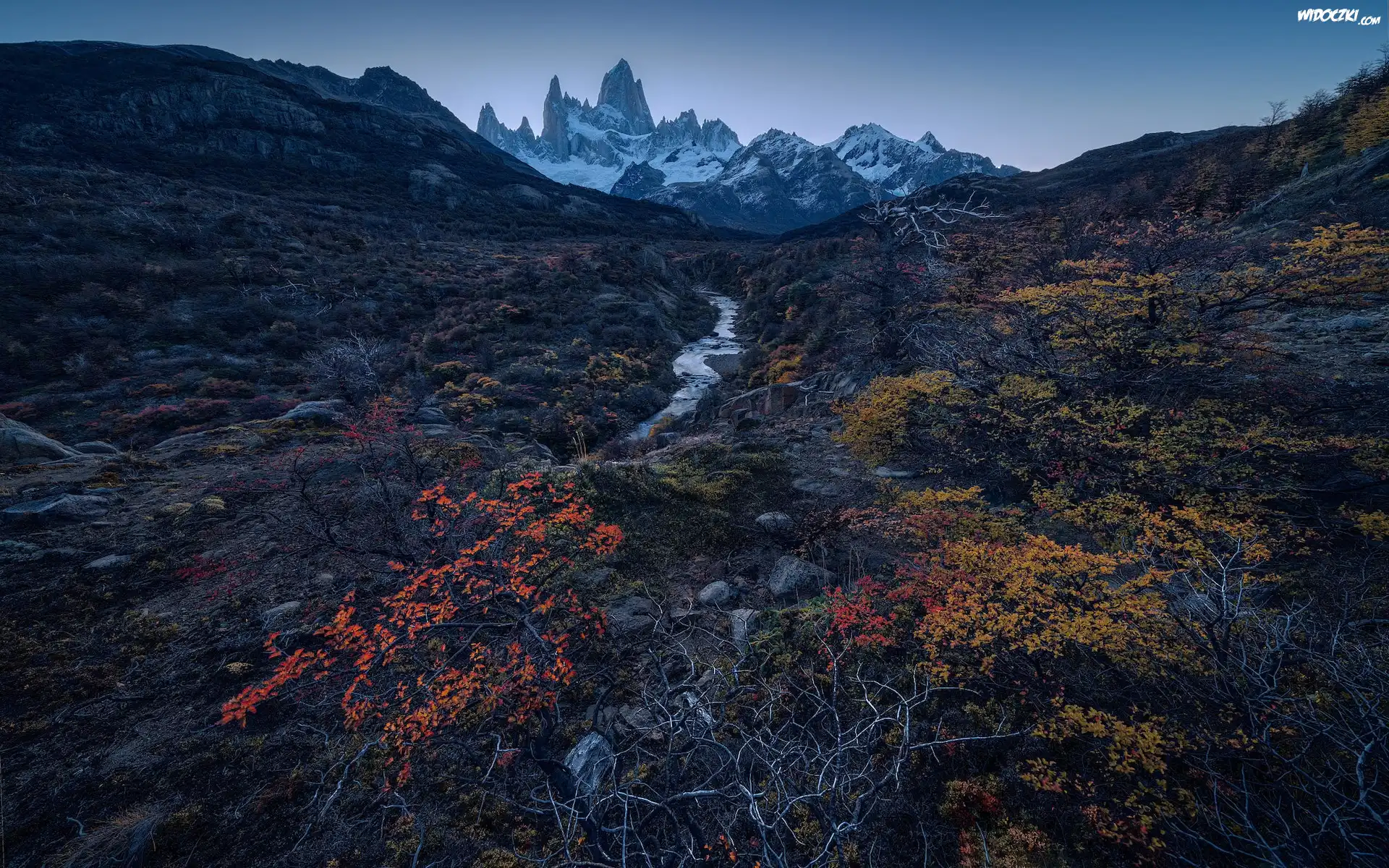 Argentyna, Patagonia, Góry, Fitz Roy, Rzeka, Jesień, Roślinność