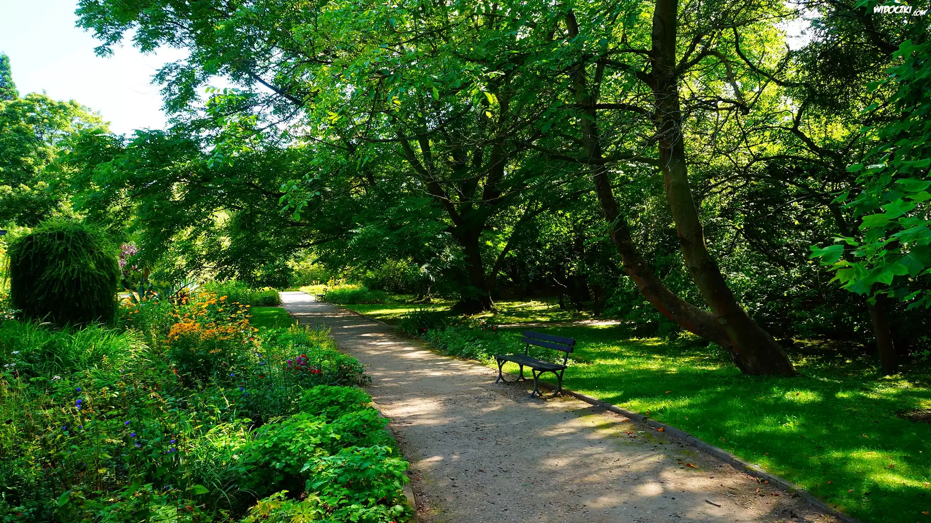 Polska, Gdańsk, Park Oliwski im. Adama Mickiewicza, Alejka, Ławka, Roślinność