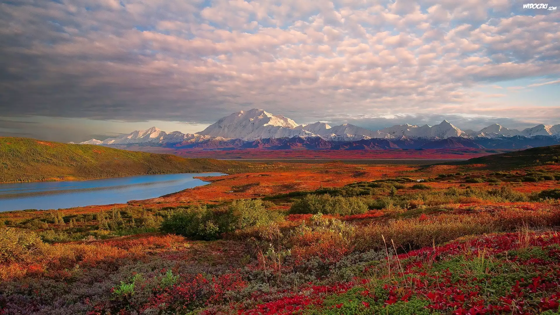 Alaska, Park Narodowy Denali, Stany Zjednoczone, Góry, Jezioro, Roślinność