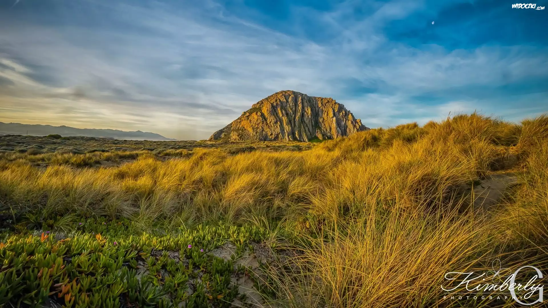 Góra, Morro Rock, Skała, Żółta, Trawa, Rośliny, Księżyc, Kalifornia, Stany Zjednoczone