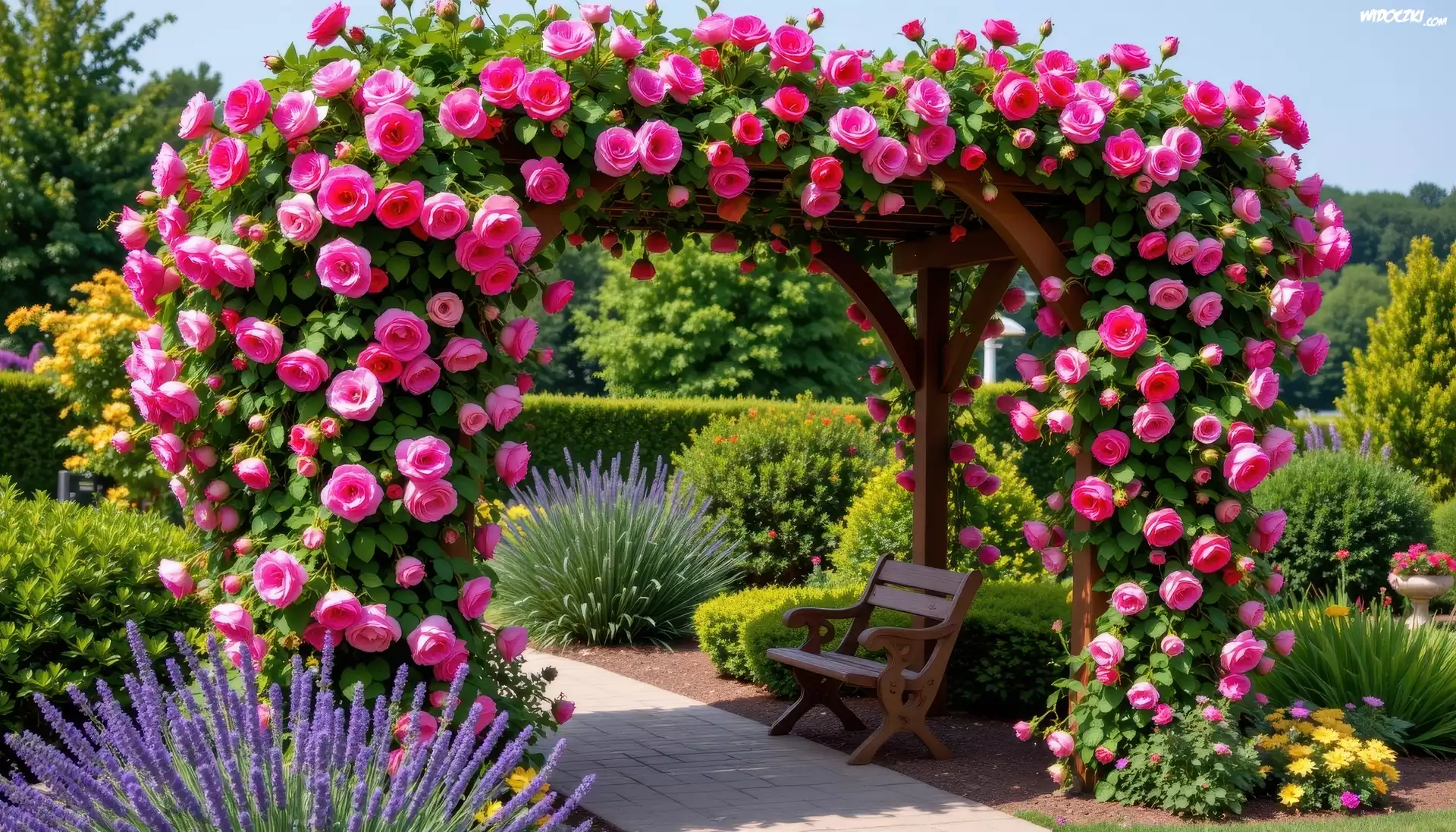 Ogród, Ławka, Pergola, Róże, Kwiaty, Klomby