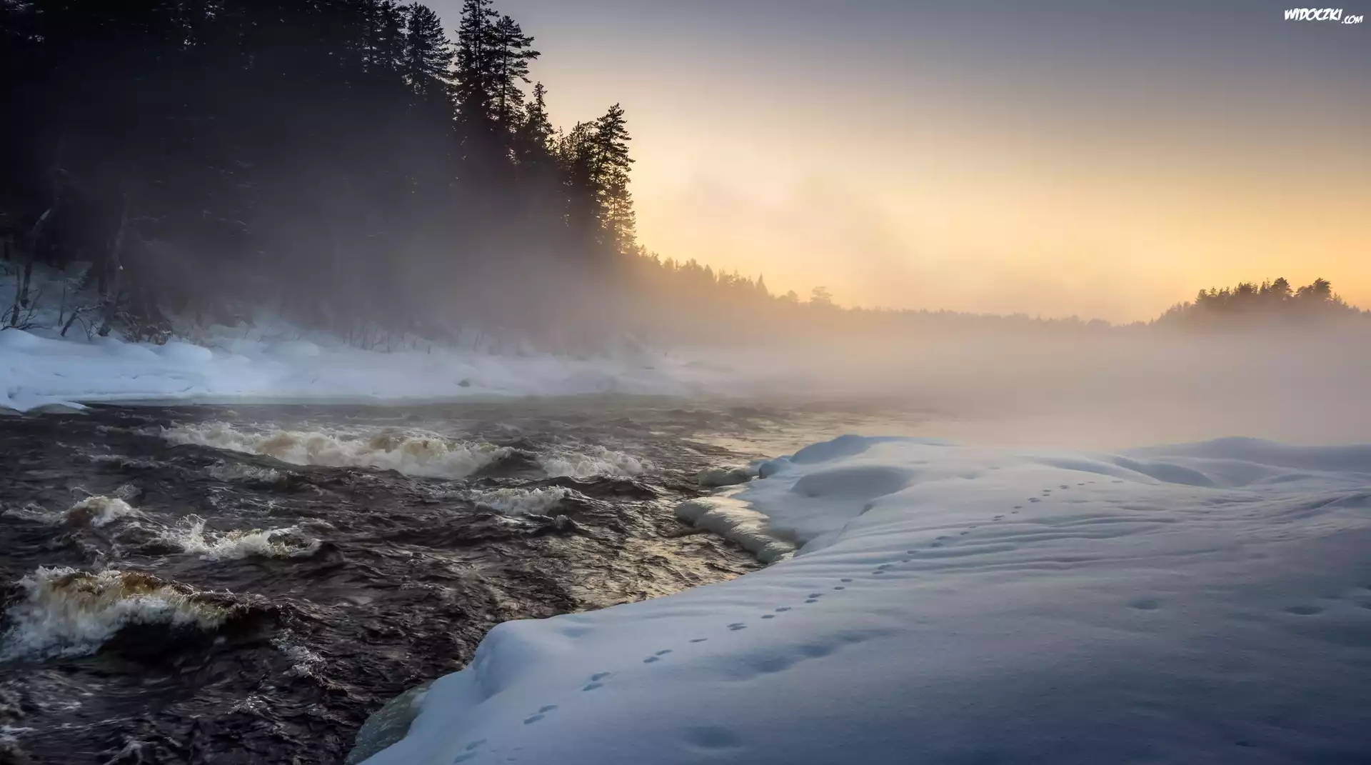 Finlandia, Karelia Północna, Miasto Lieksa, Ruunaa, Rzeka Neitikoski Rapid, Zima, Mgła, Drzewa