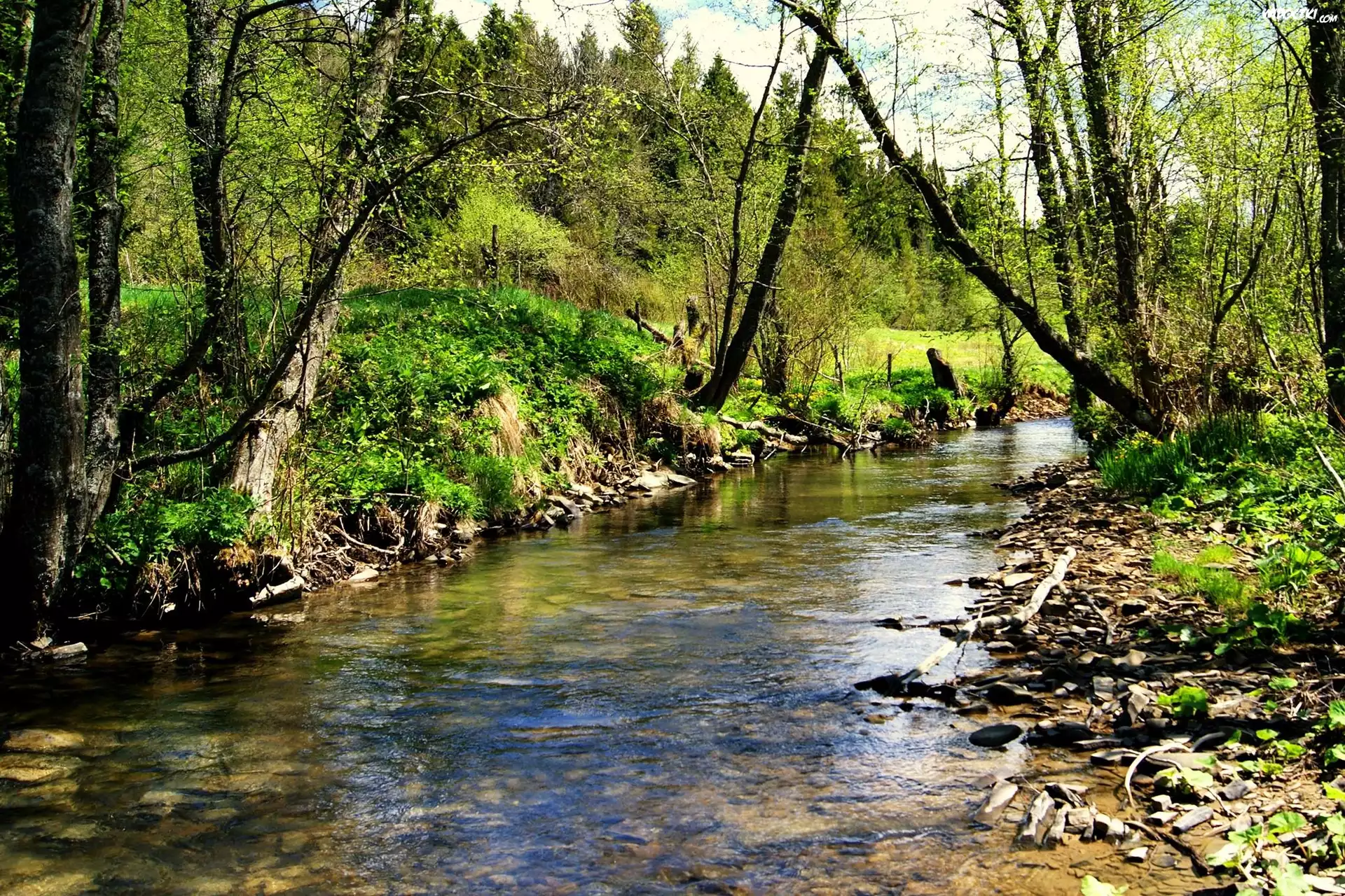 Rzeczka