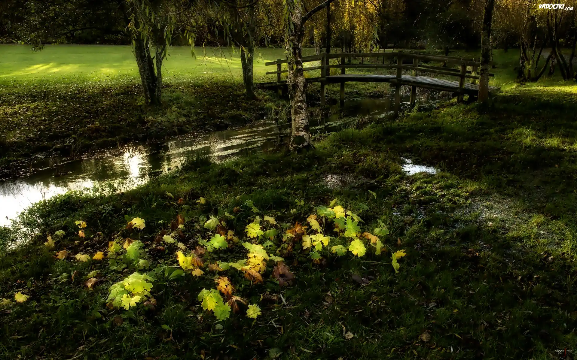 Park, Rzeczka, Mostek