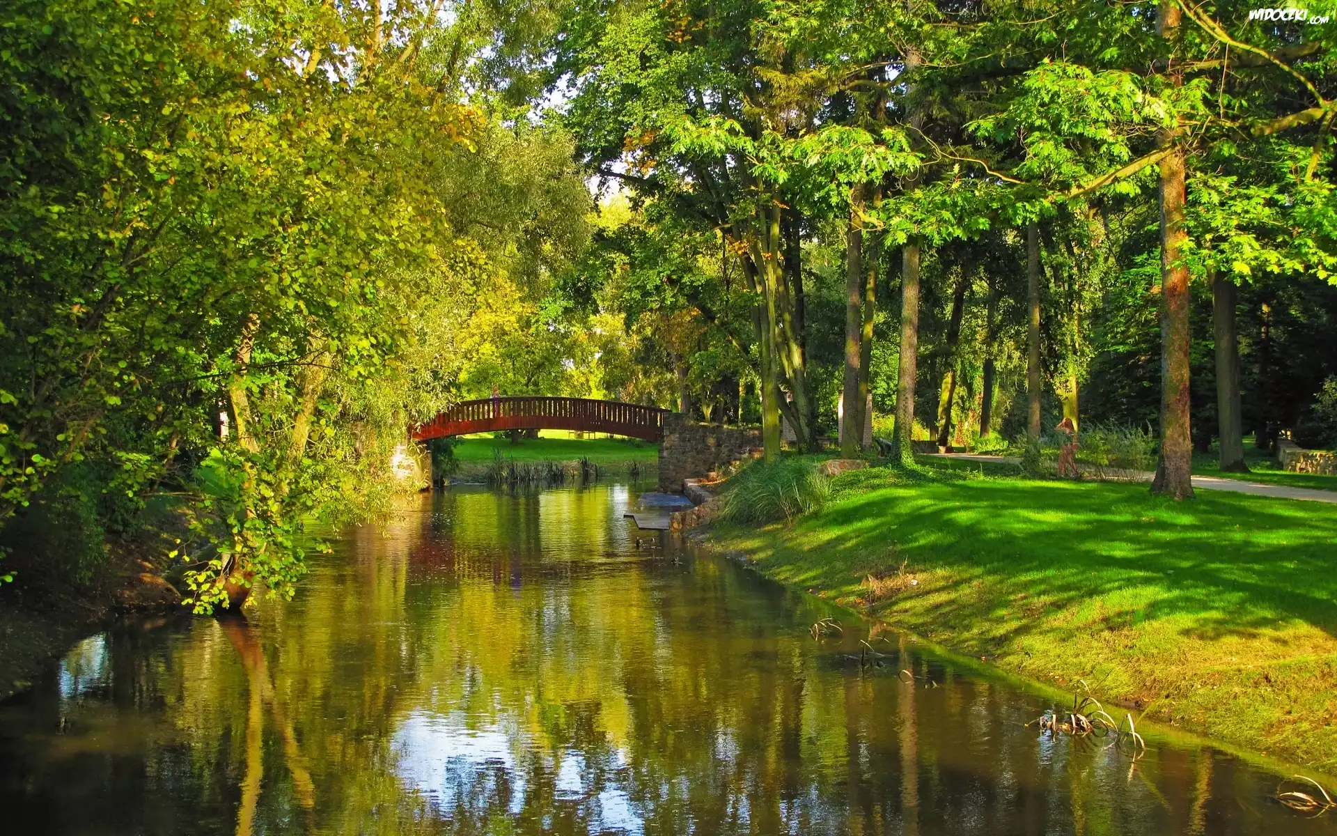 Park, Rzeczka, Mostek