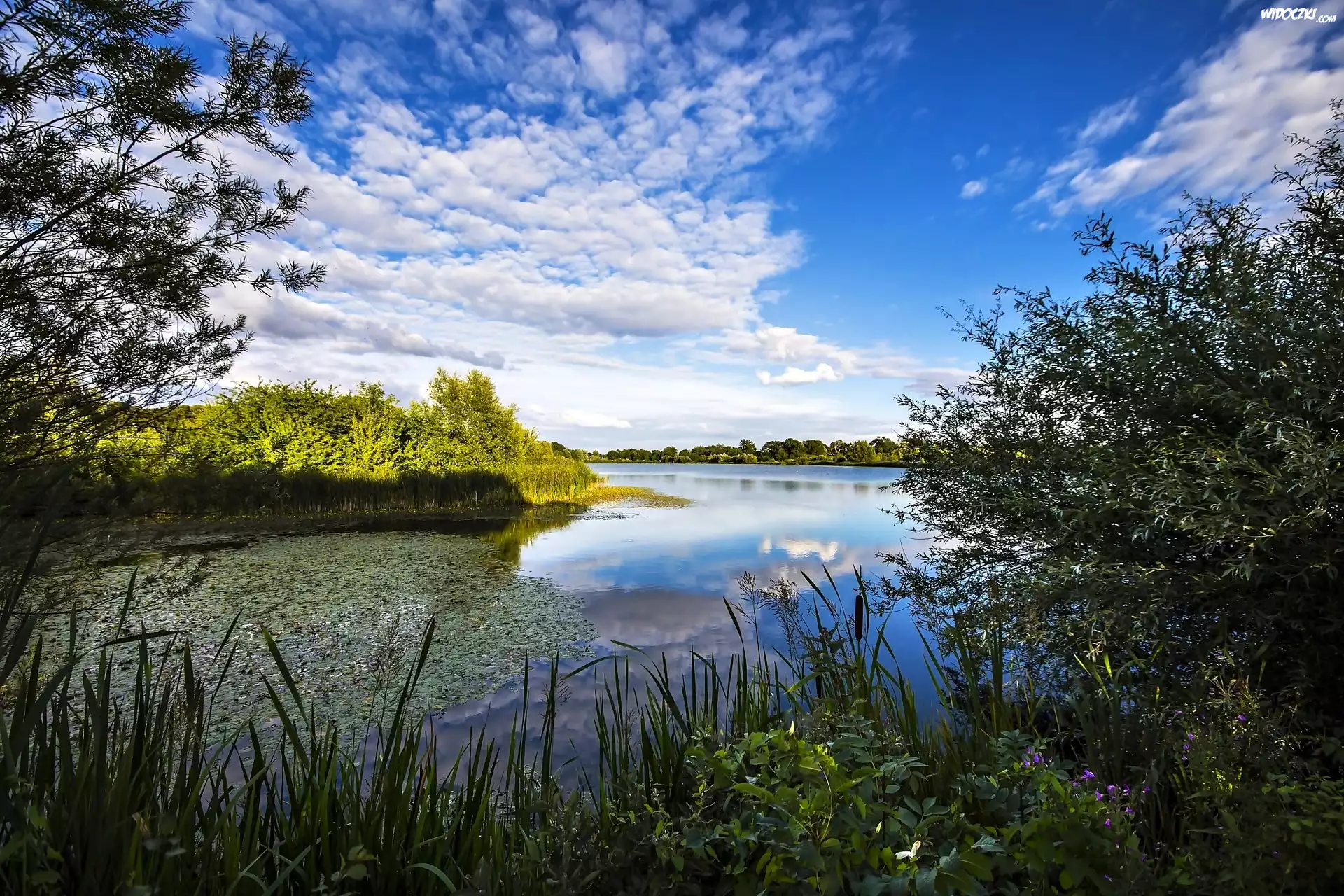 Rzeka Great Ouse, Cambridgeshire, Anglia