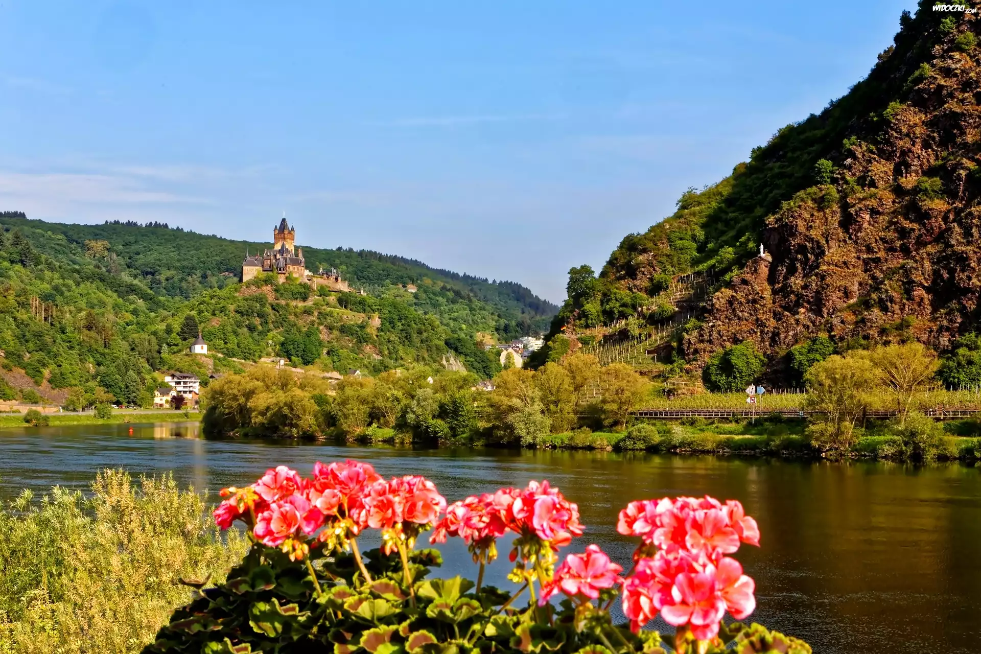 Zamek Reichsburg, Miasto Cochem, Niemcy, Rzeka Mozela, Góry, Lasy, Pelargonie