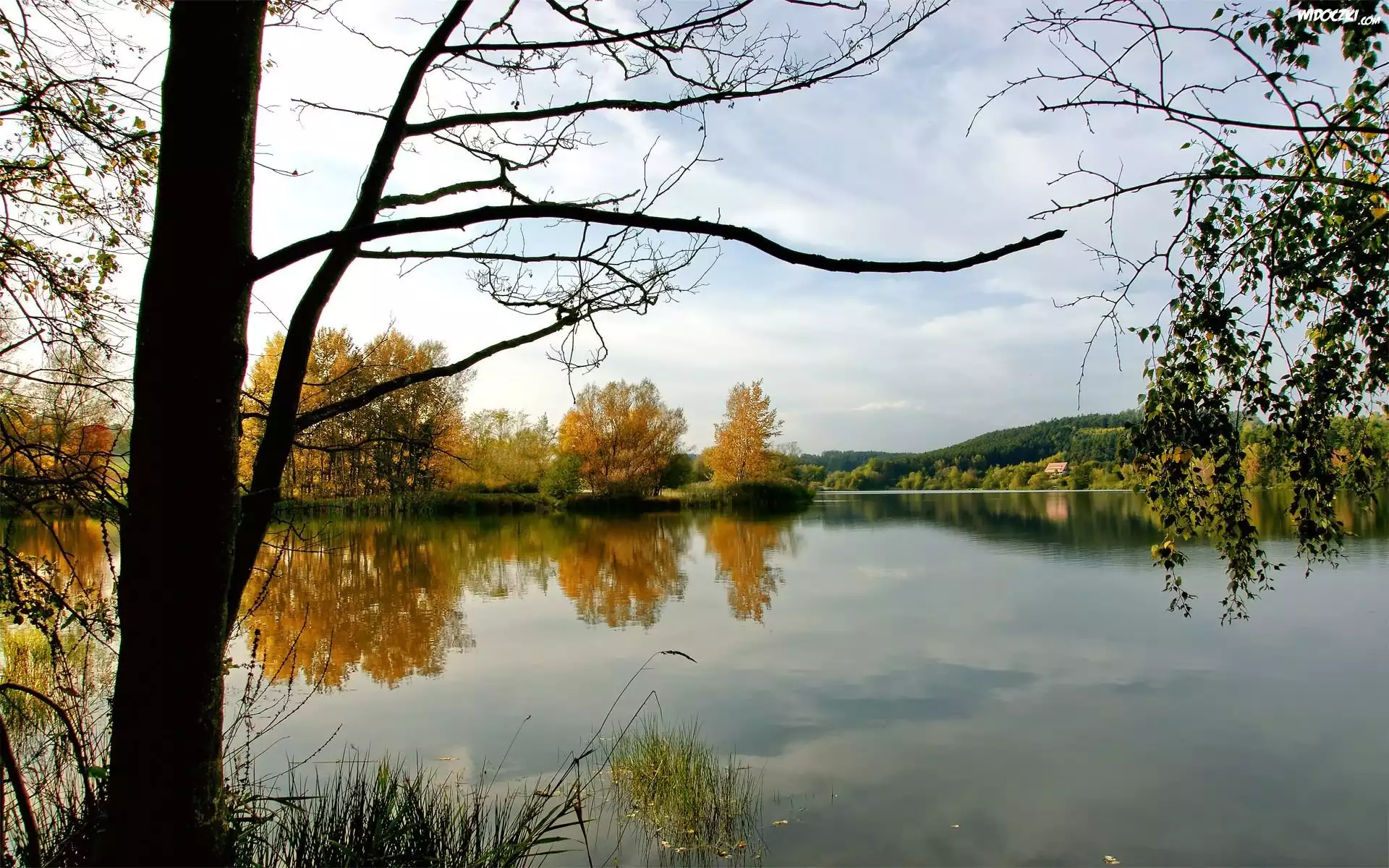 Rzeka, Drzewa, Góry, Lasy, Domy, Wiosna