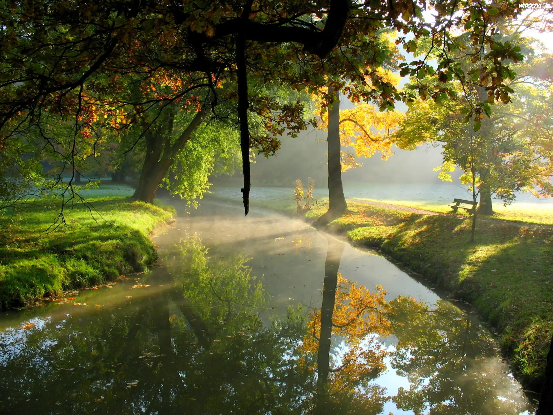 Drzewa, Rzeka, Park