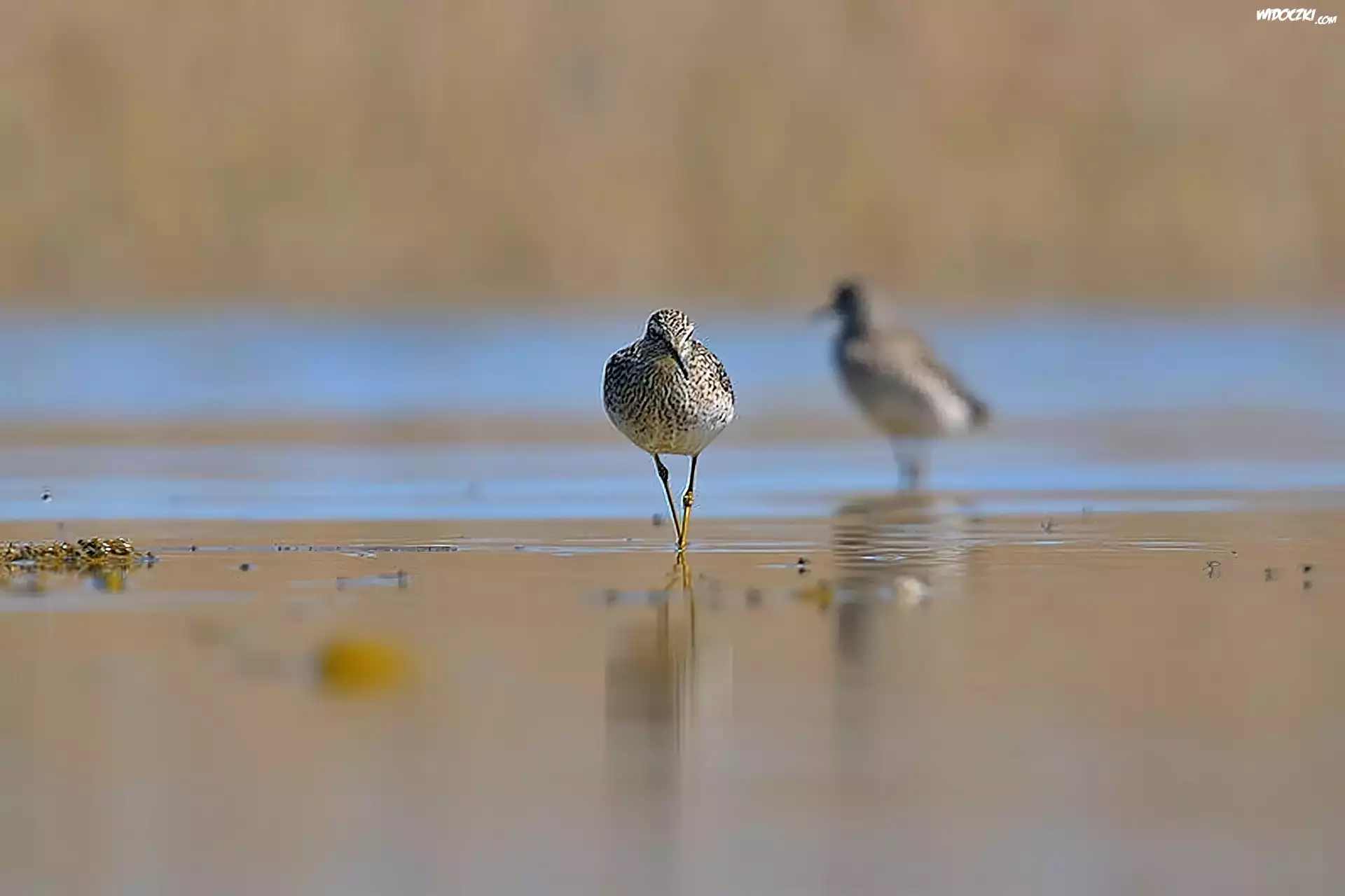 Łęczak, Rzeka, Plaża