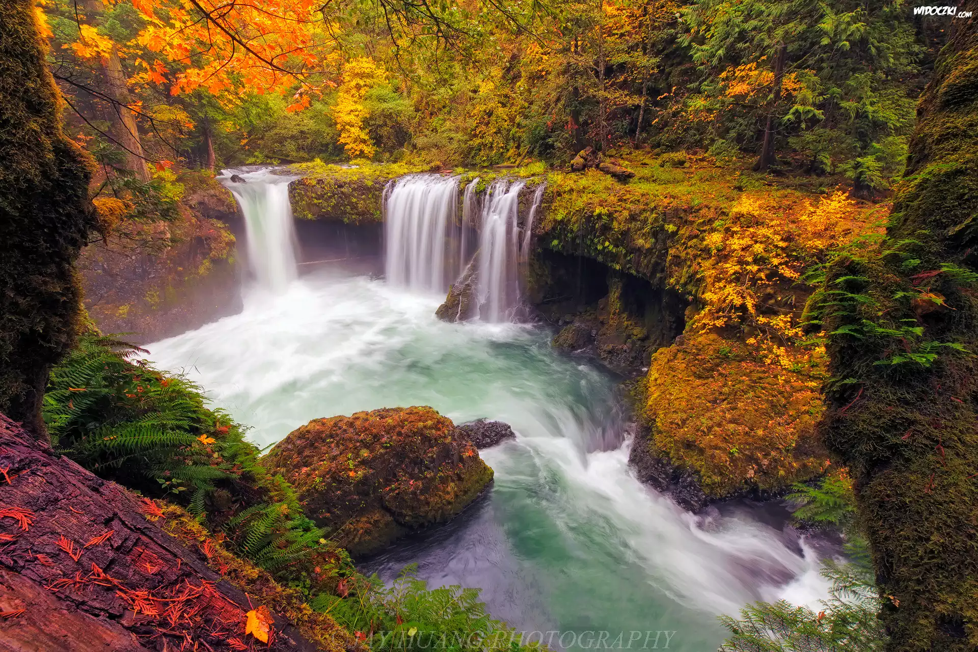 Rzeka White Salmon River, Wodospad Spirit Falls, Rezerwat przyrody Columbia River Gorge, Drzewa, Krzewy, Skały, Jesień, Oregon, Stany Zjednoczone