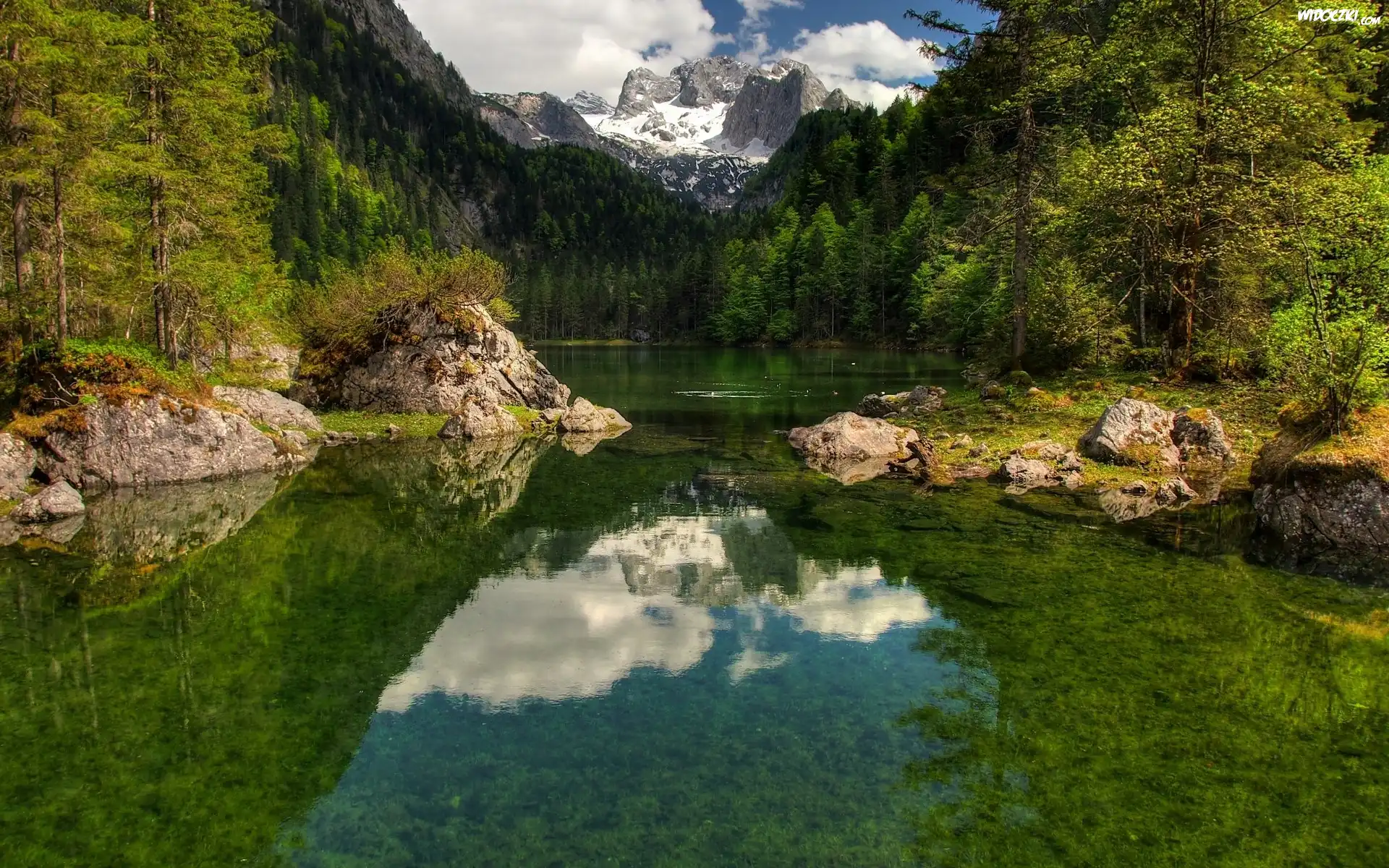 Rzeka, Kamienie, Góry, Las