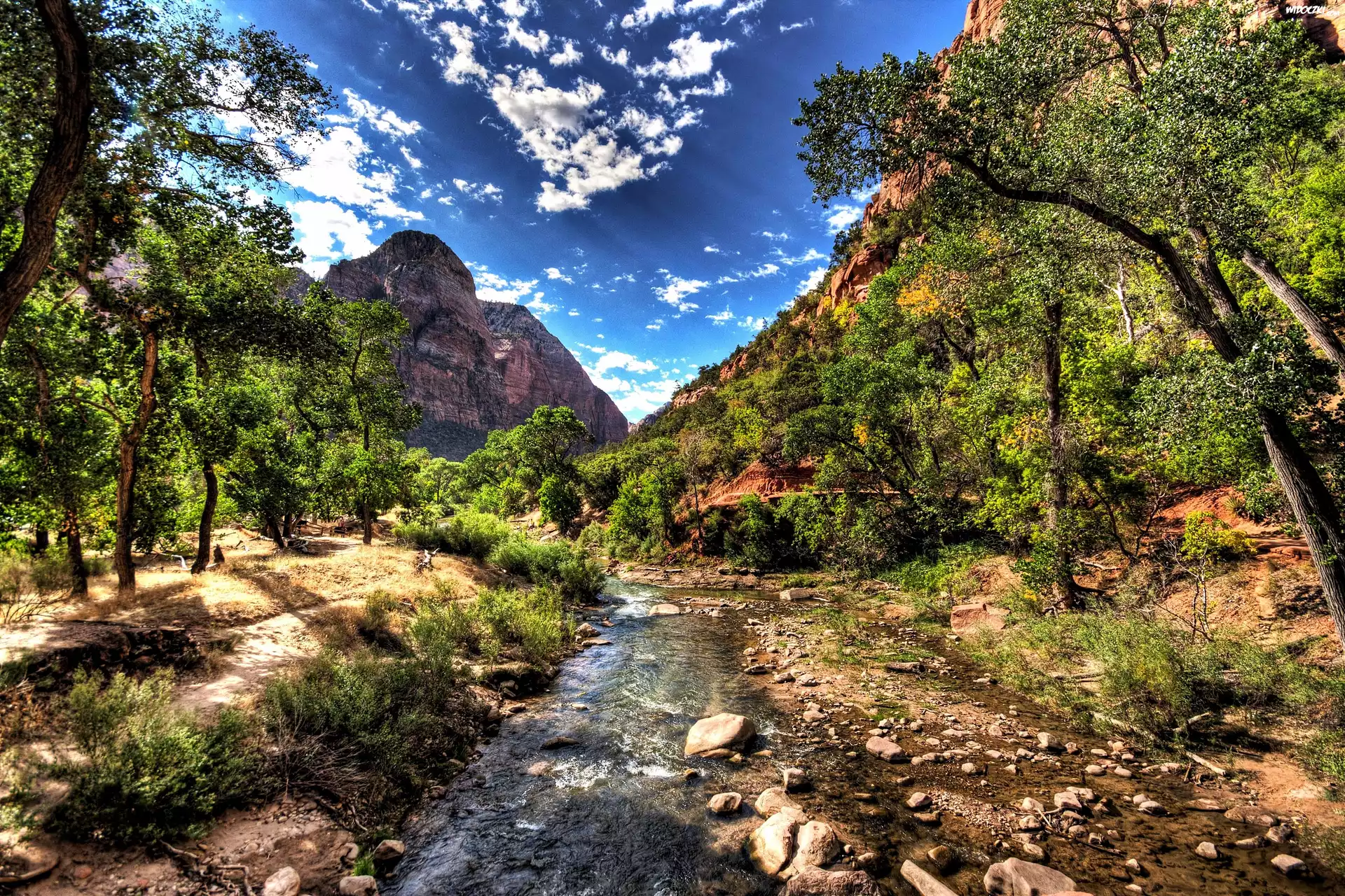 Góry, Rzeka, Las, Park, Narodowy, Zion, Utah