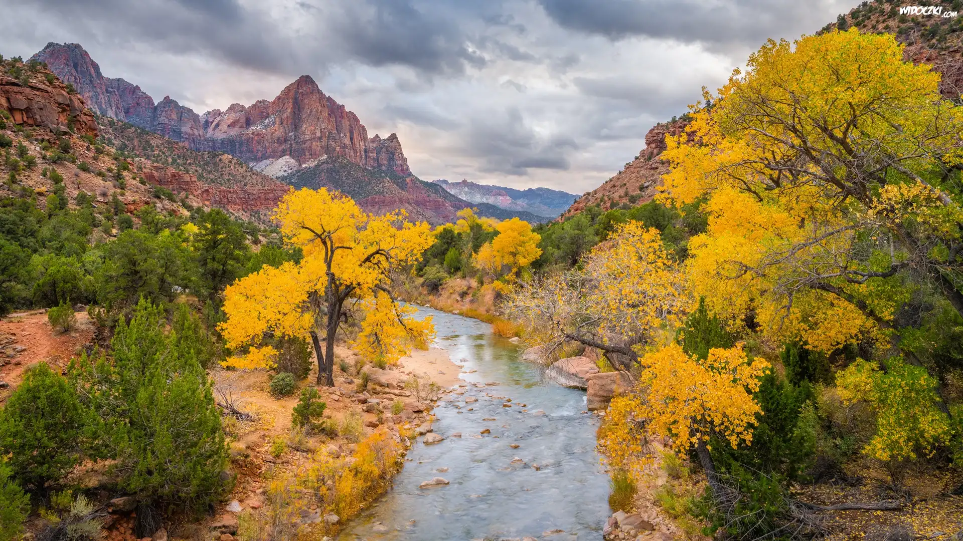 Jesień, Góry, Góra Watchman, Rzeka, Virgin River, Drzewa, Park Narodowy Zion, Utah, Stany Zjednoczone